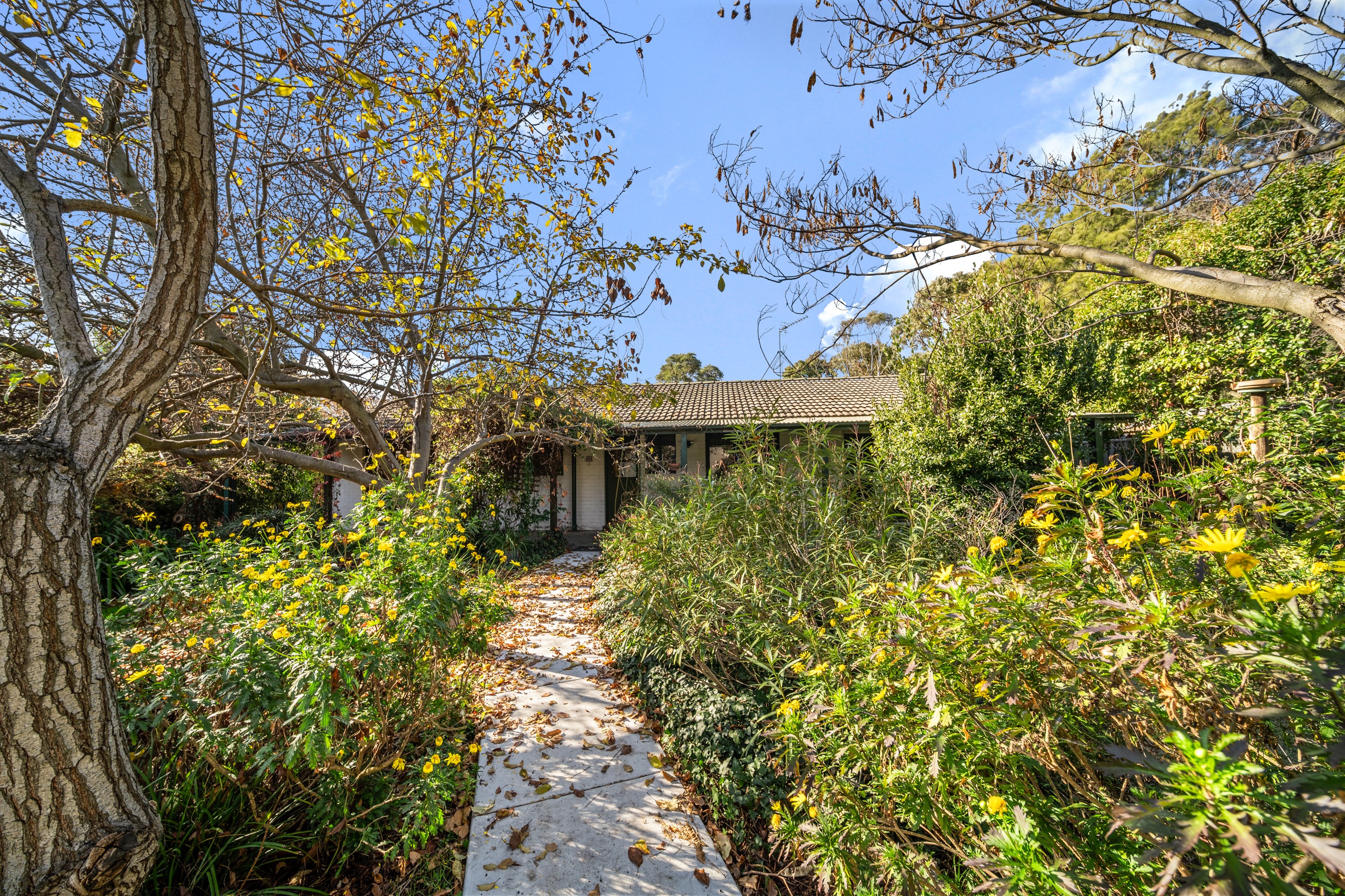 71 Clift Crescent, Richardson, ACT 2905