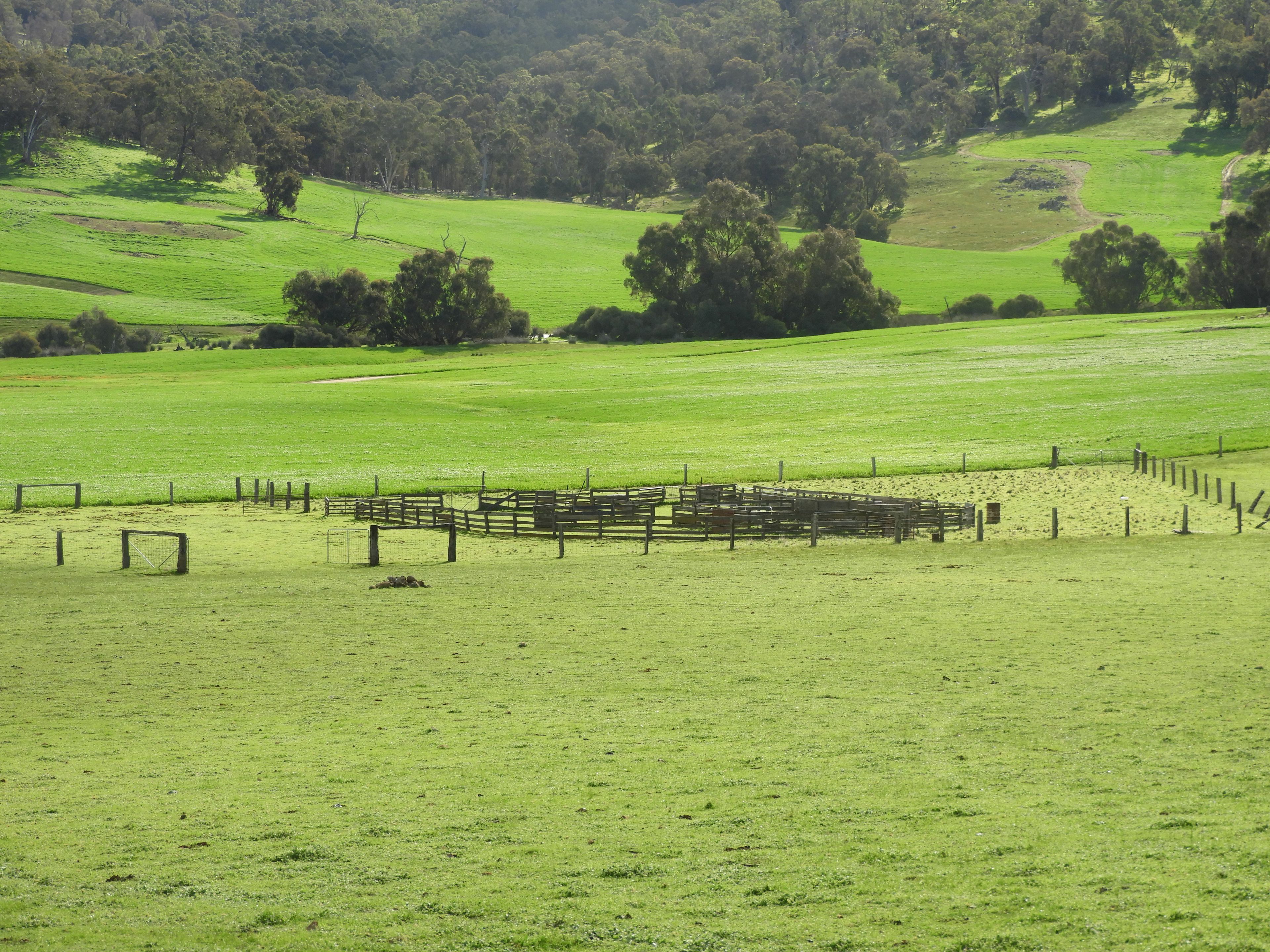 Kyellen Farm, Quindanning-Darkan Road — photo 24 of 30