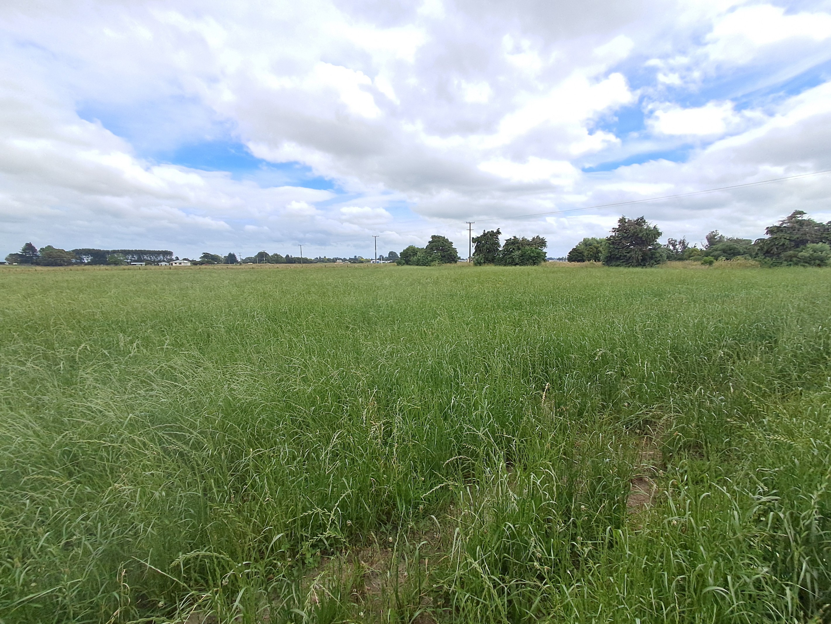 118 Durie Road, Aorangi, Manawatu District