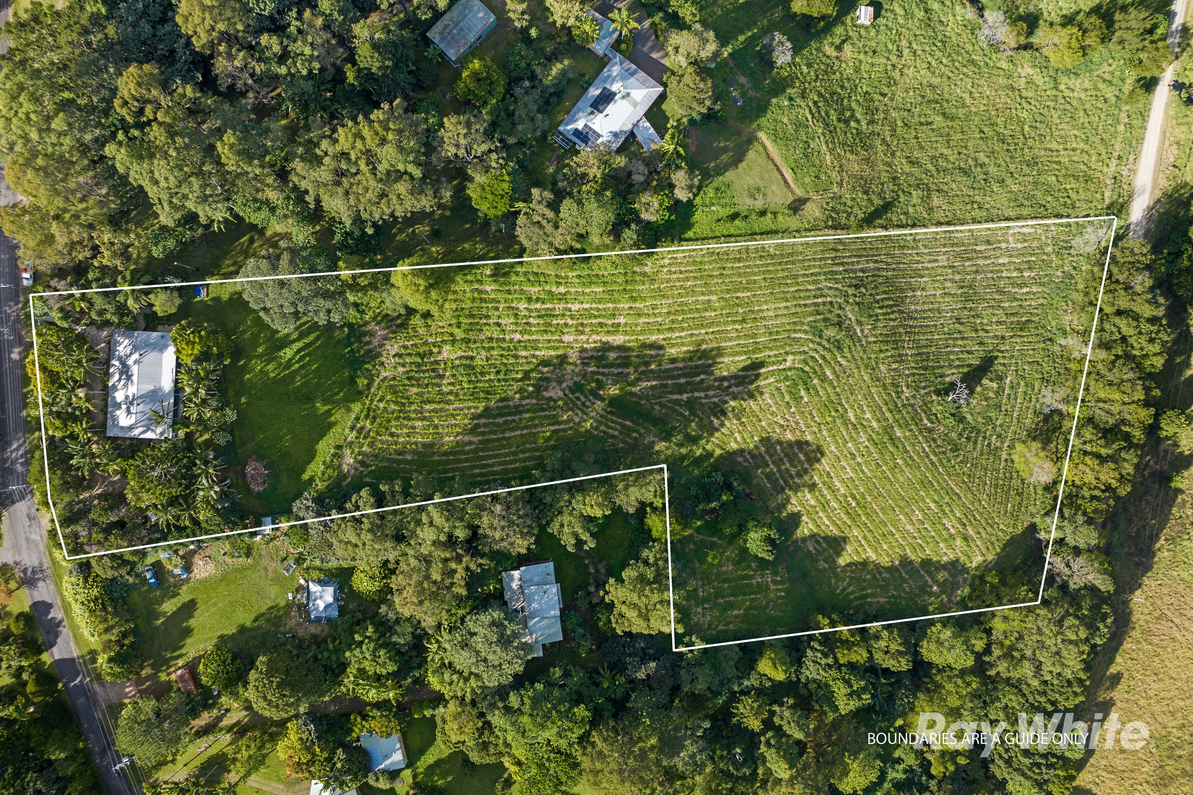 43 Basil Road, Nimbin, NSW 2480
