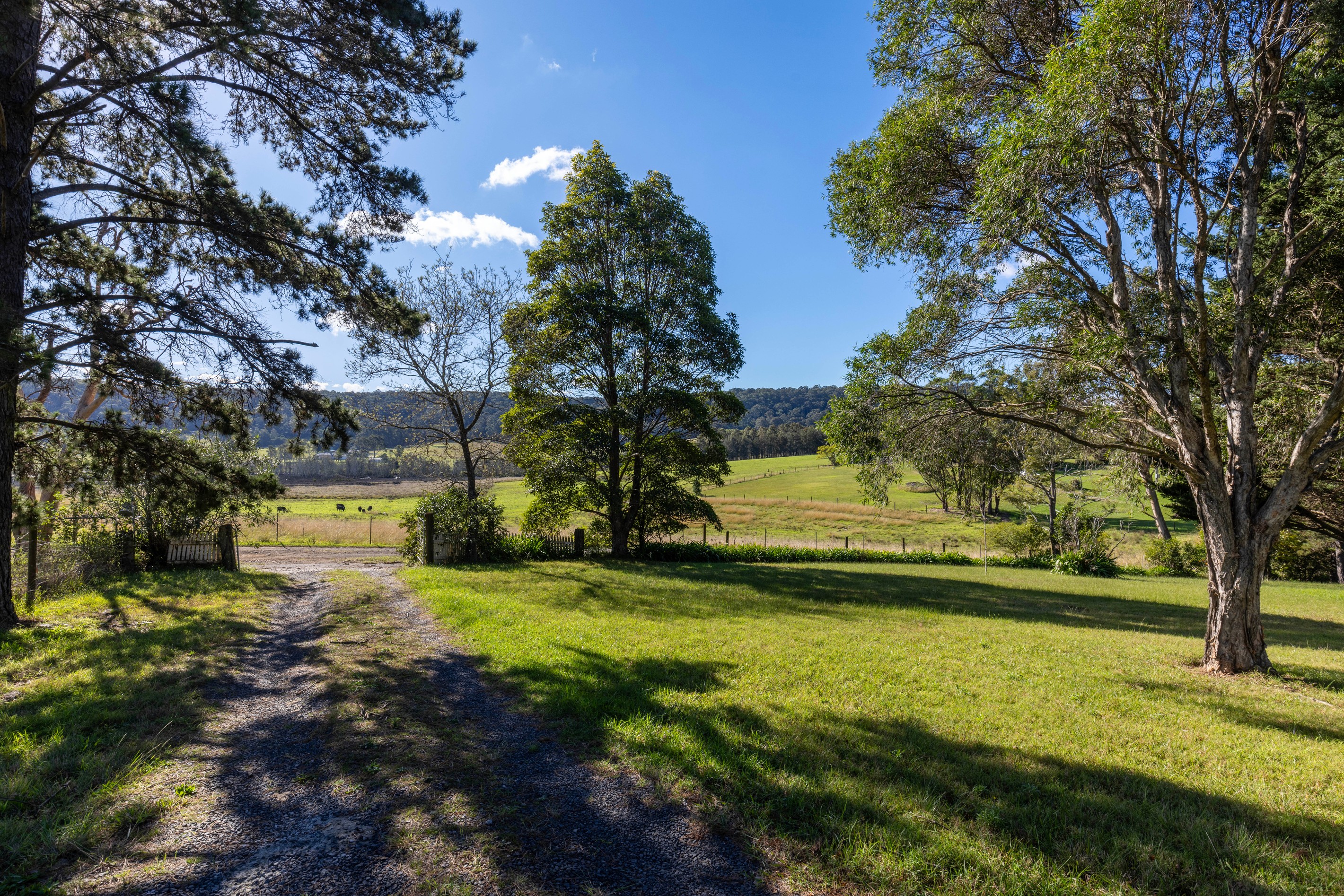10A Back Forest Road, Back Forest, NSW 2535