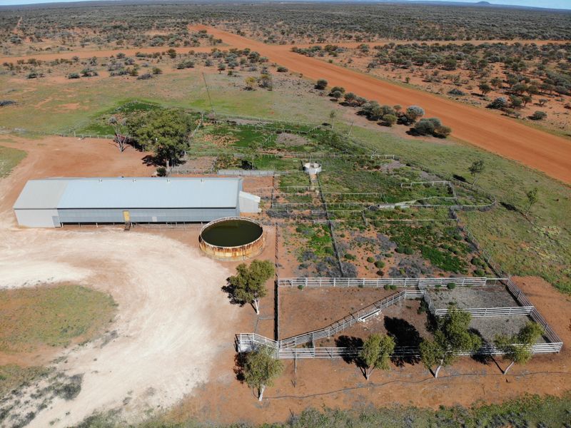 Wagga Wagga Station, Geraldton Mount Road, Yalgoo, WA Rural