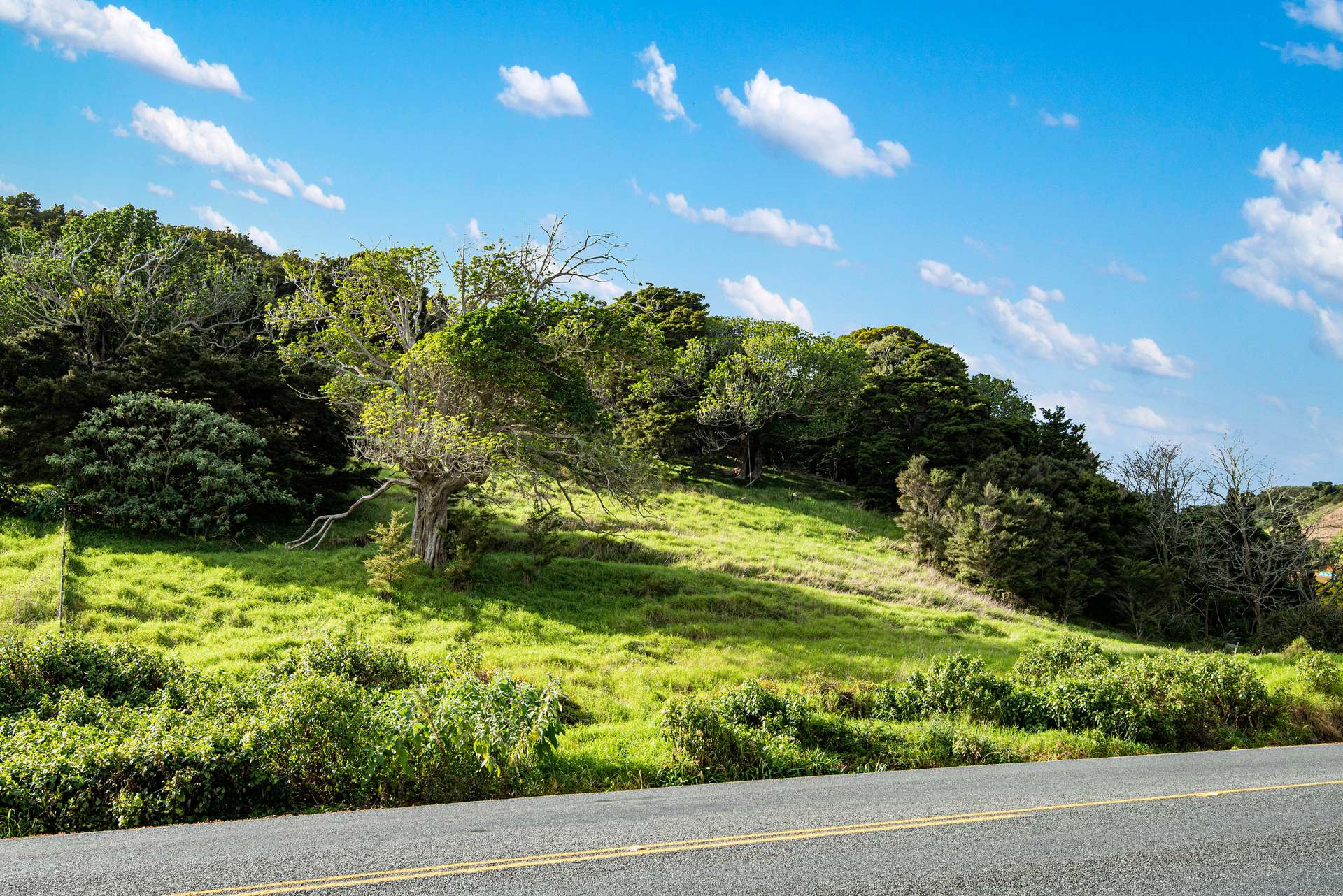 421 Whangarei Heads Road photo 4