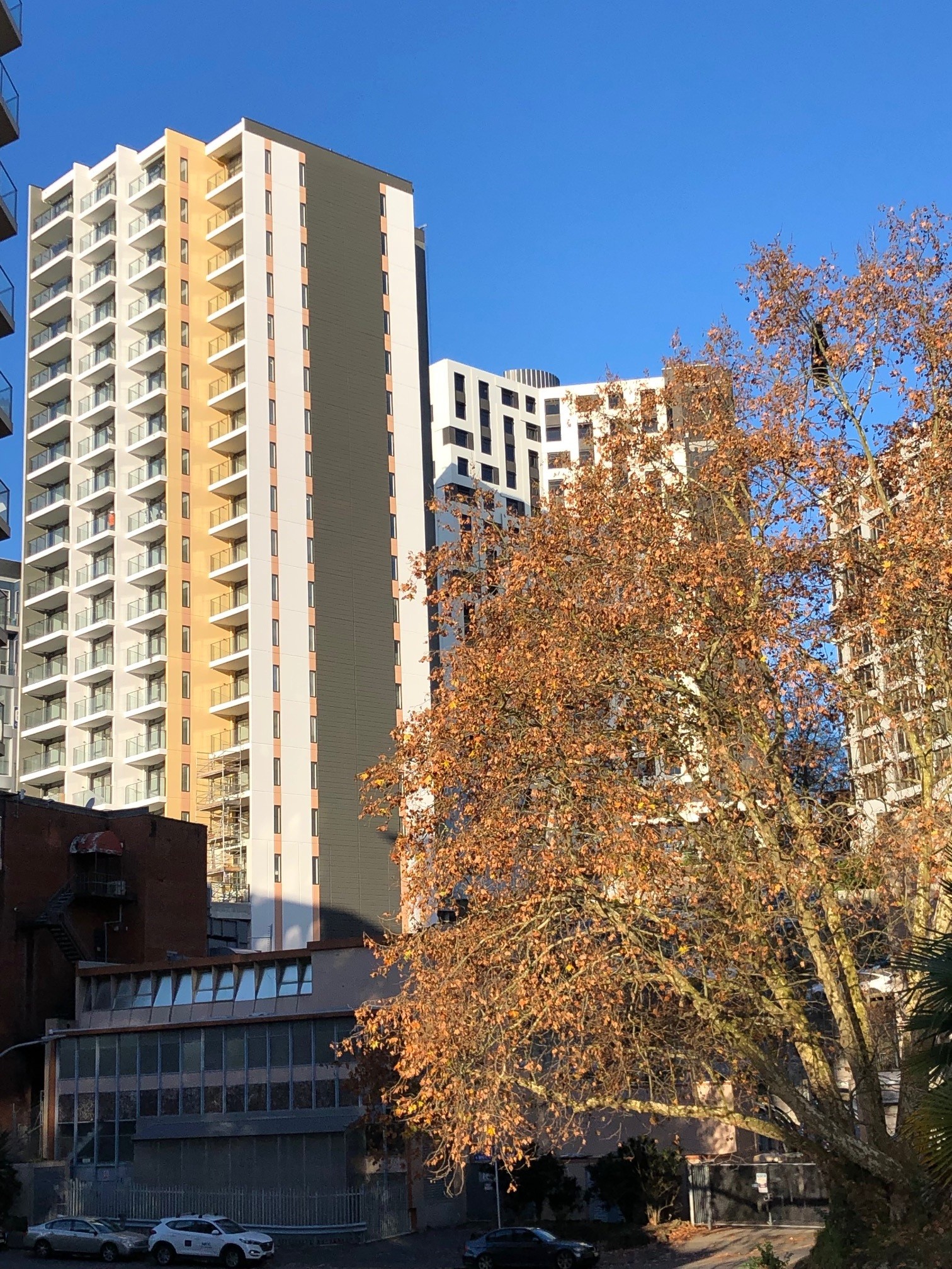 1103/79 Airedale Street, Auckland Central, Auckland City