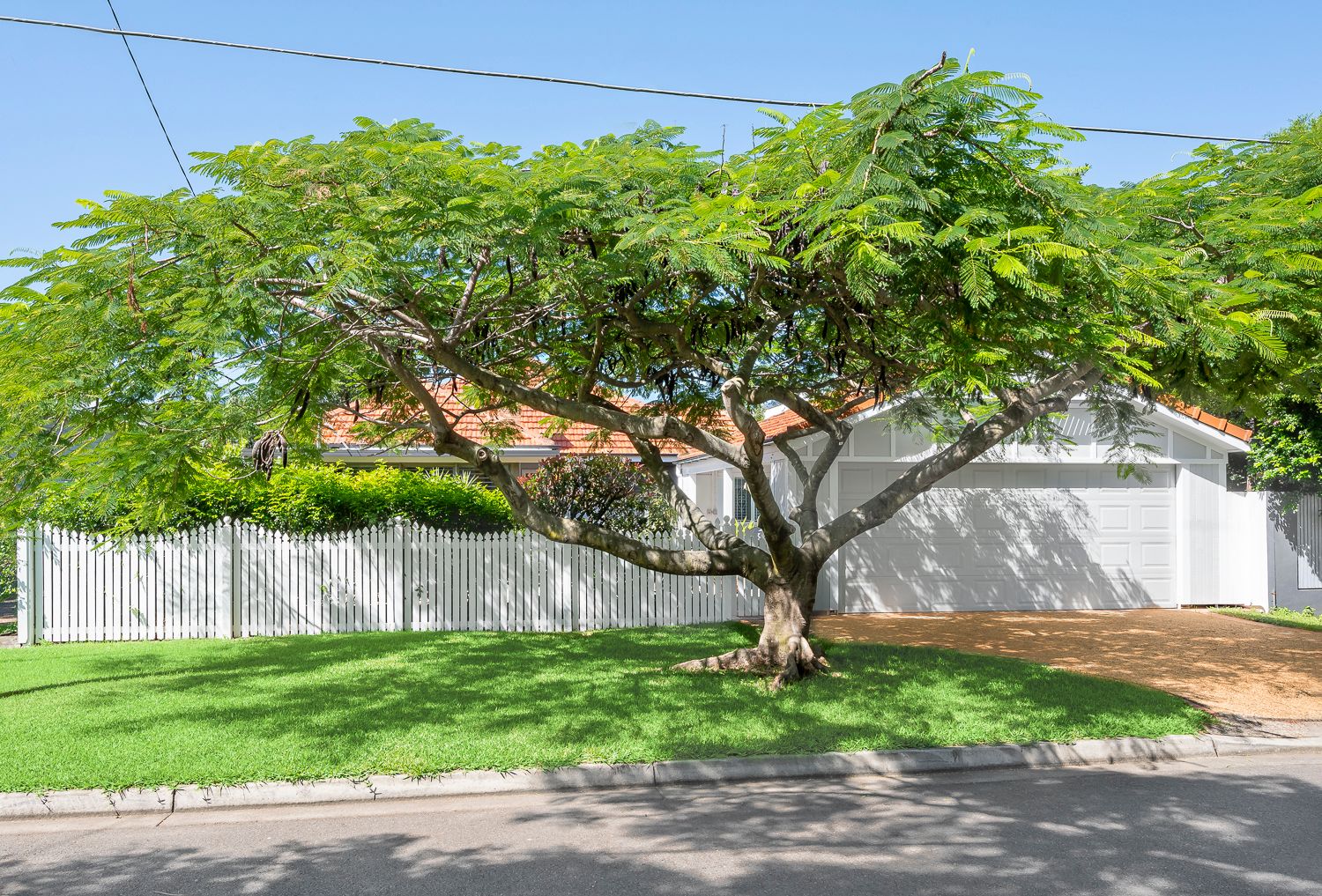 15 Williams Avenue, Hendra, QLD 4011