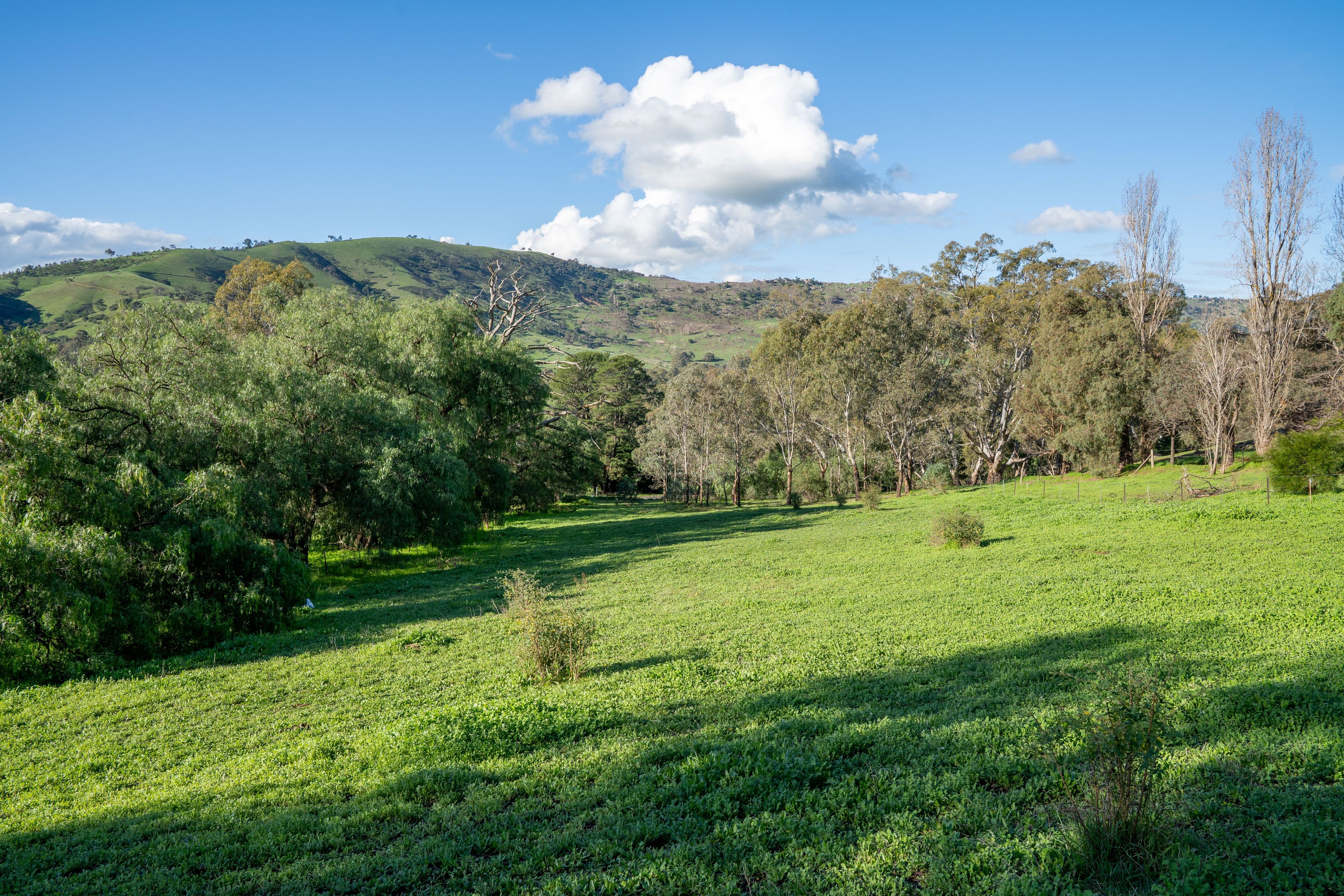 8389 Goulburn Valley Highway — photo 7 of 22