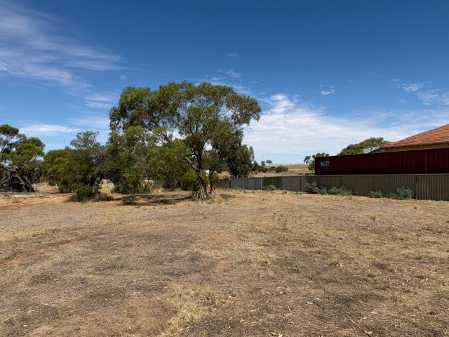 14 Fogarty Street, Mingenew, WA 6522