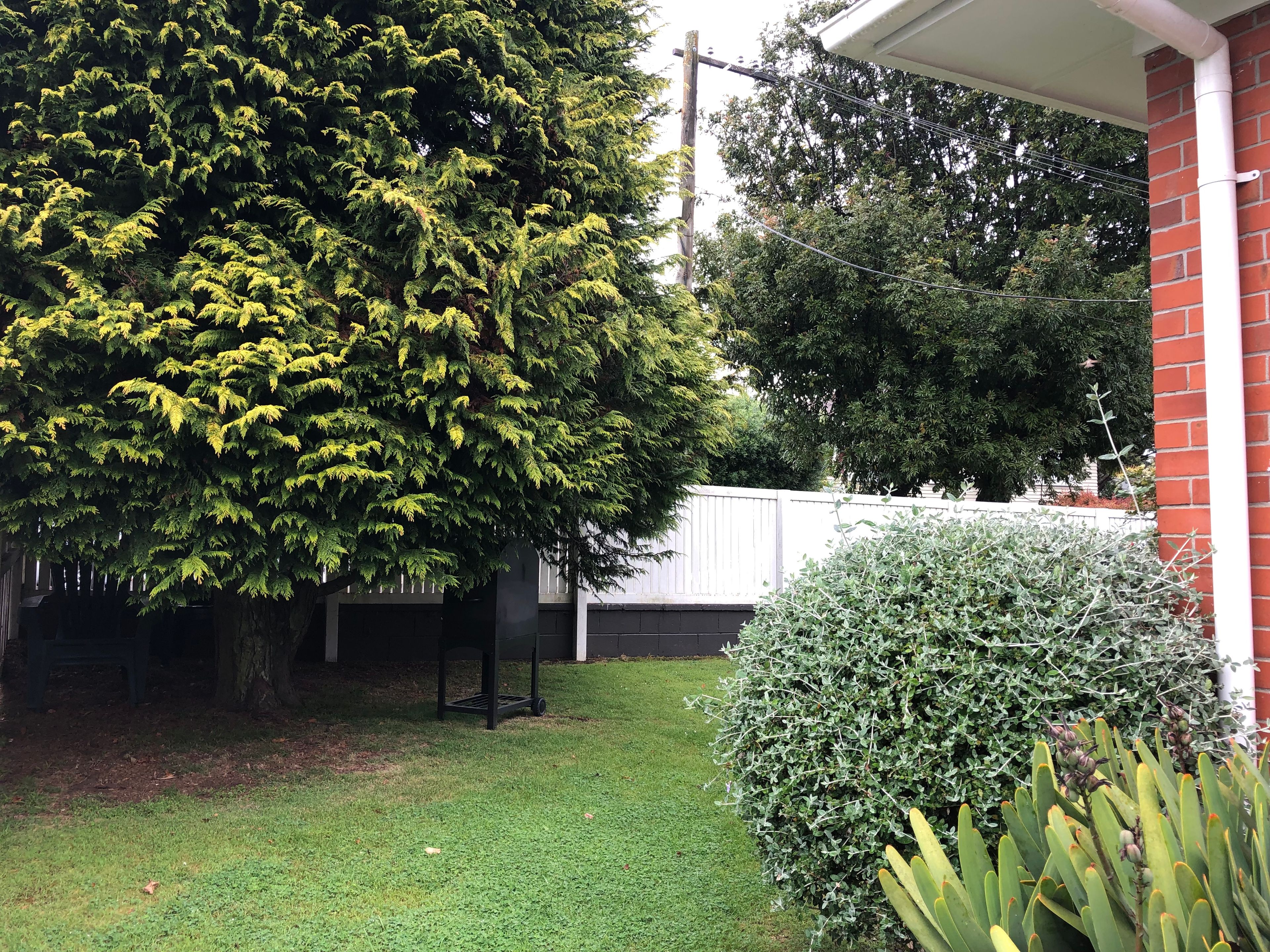 1/3 Kingsford Road, Mount Eden, Auckland City