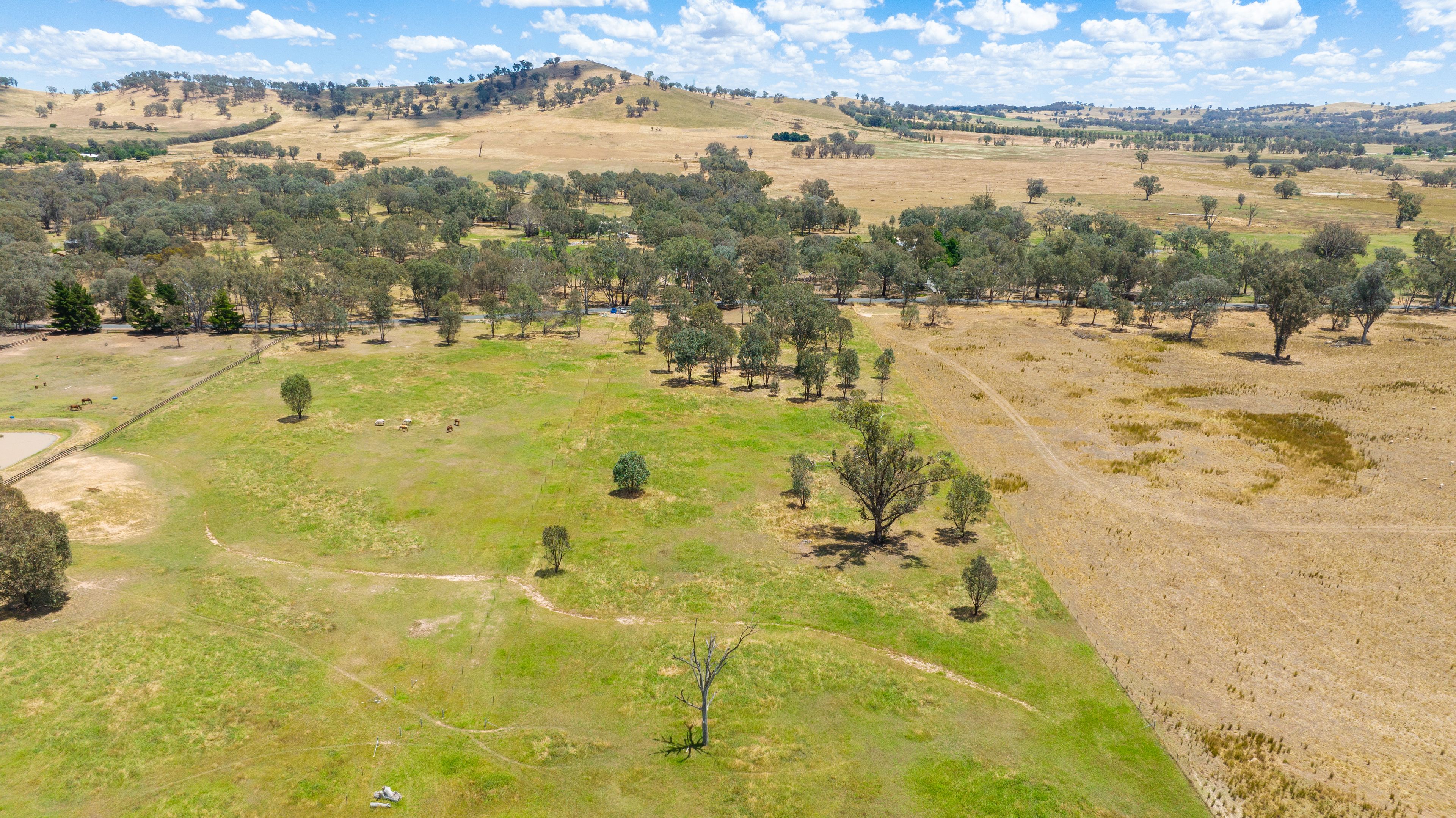 Lot 4 81 Bungowannah Road, Jindera, NSW 2642 Land for Sale Ray