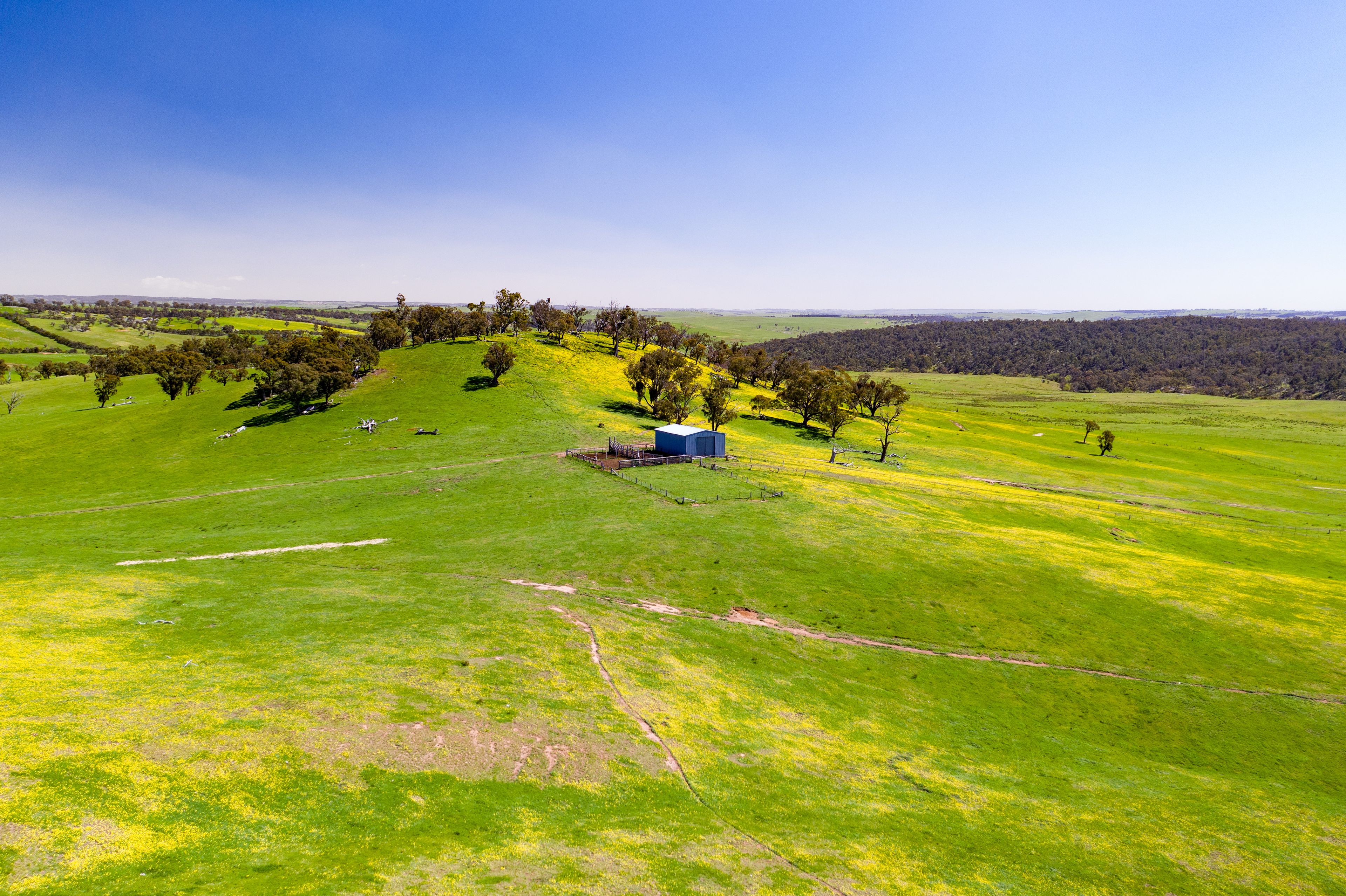 1242 Laggan-Taralga Road, Taralga, NSW 2580