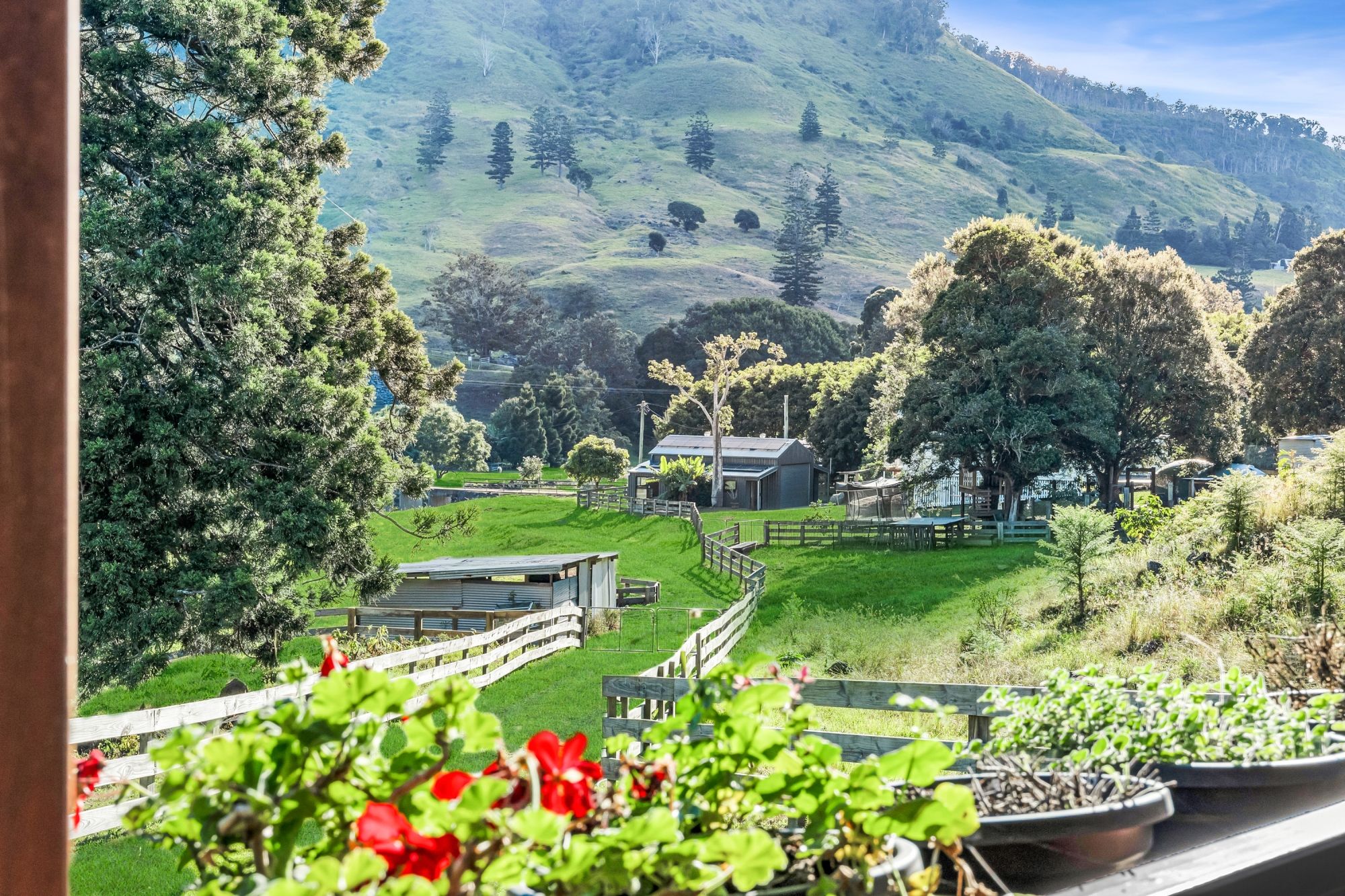 739 Illinbah Road, Illinbah, QLD 4275 Acreage/SemiRural for Sale