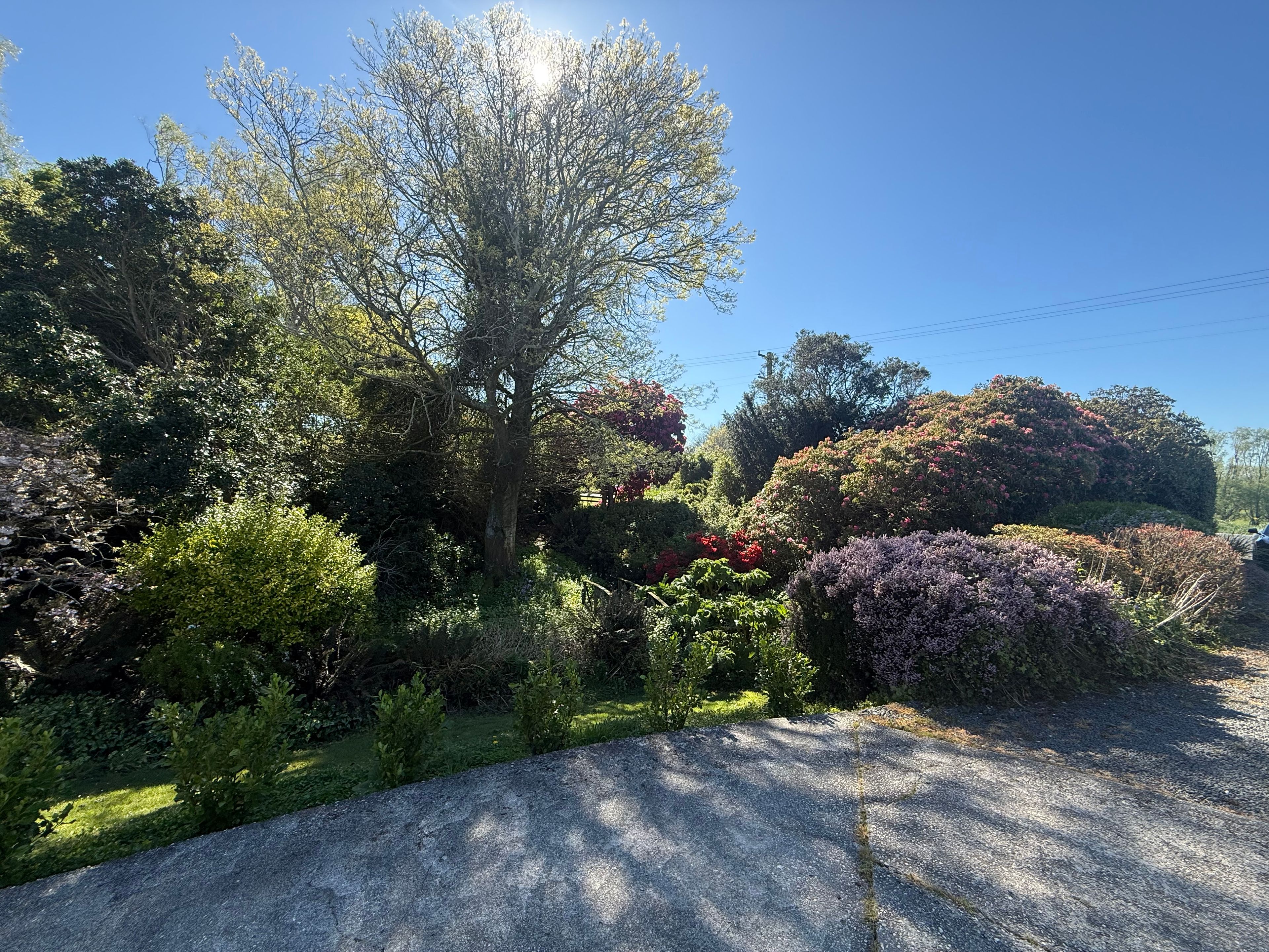 81 Mount Wallace Road, Stirling, Clutha District