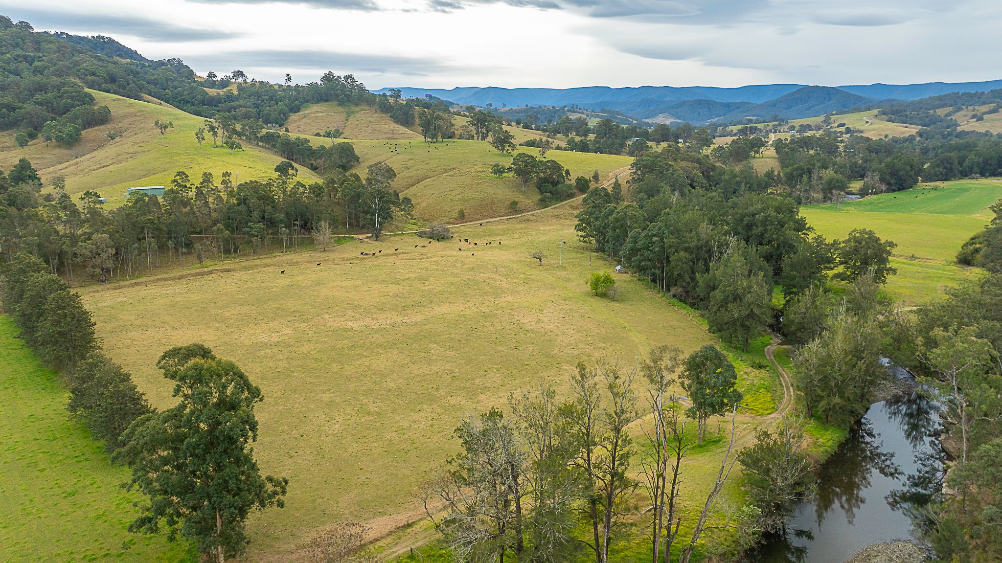 2601 Allyn River Road — photo from Ray White Rural Lifestyle Sydney