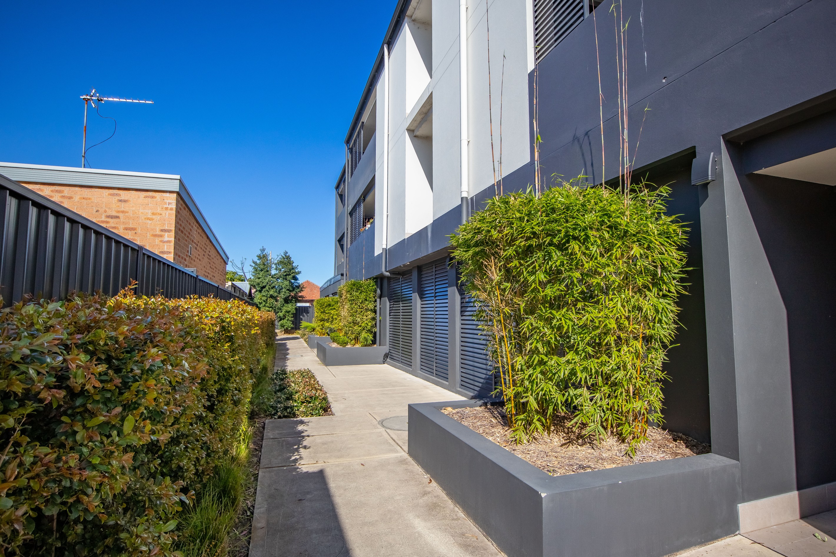 209/37 Donald Street, Hamilton, NSW 2303