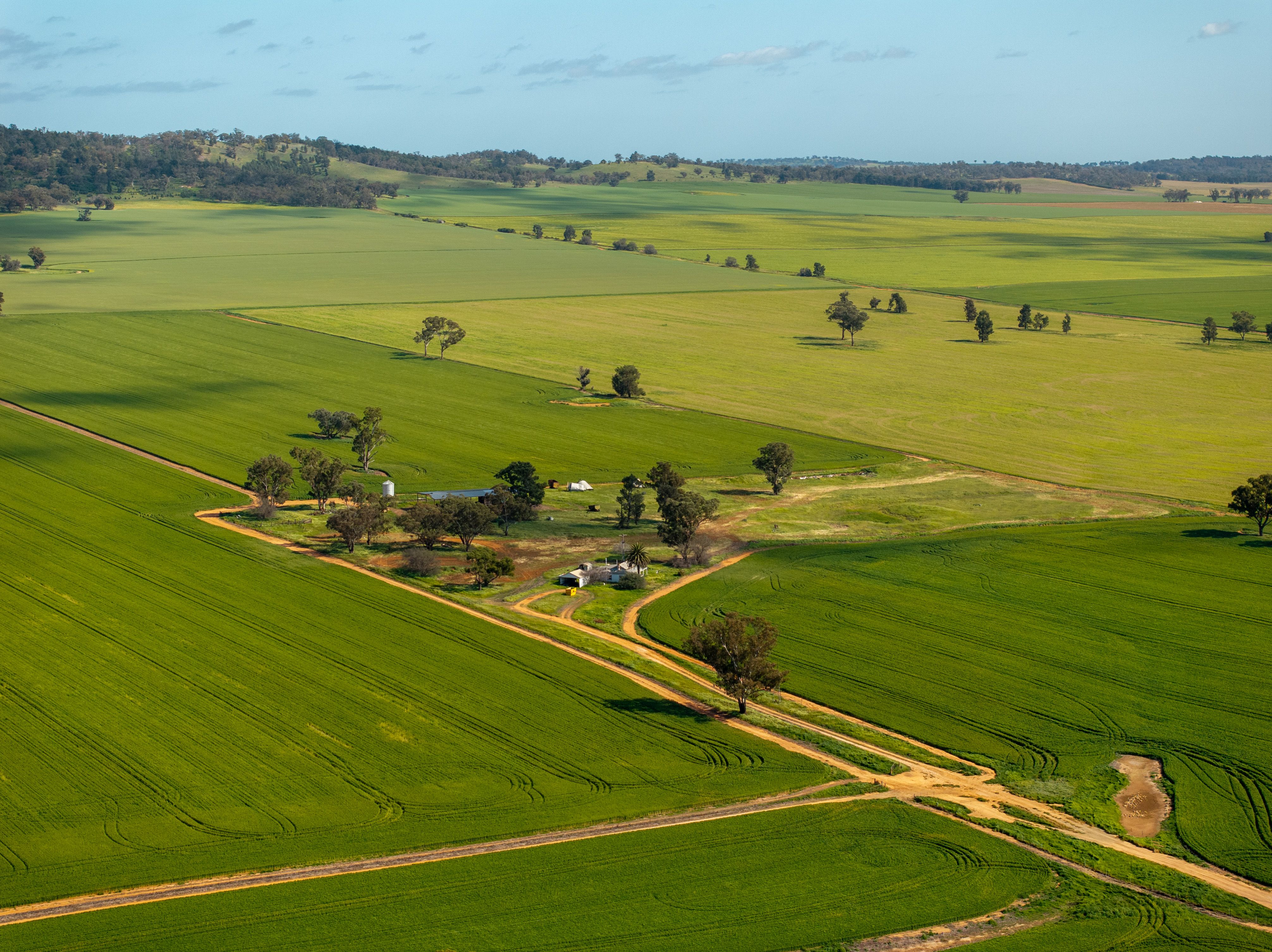 267 Gap Hall-Coolamon Road — photo 6 of 13