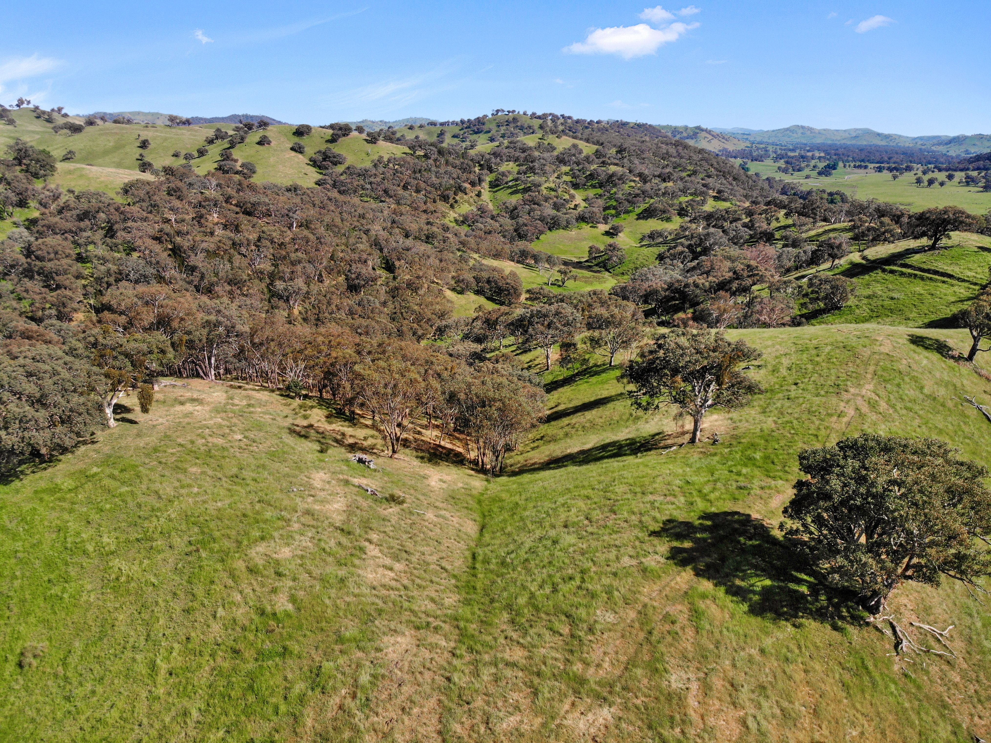 Lot 8 in DP 1047706 Brungle Road, Tumut, NSW 2720 Sold Rural Property