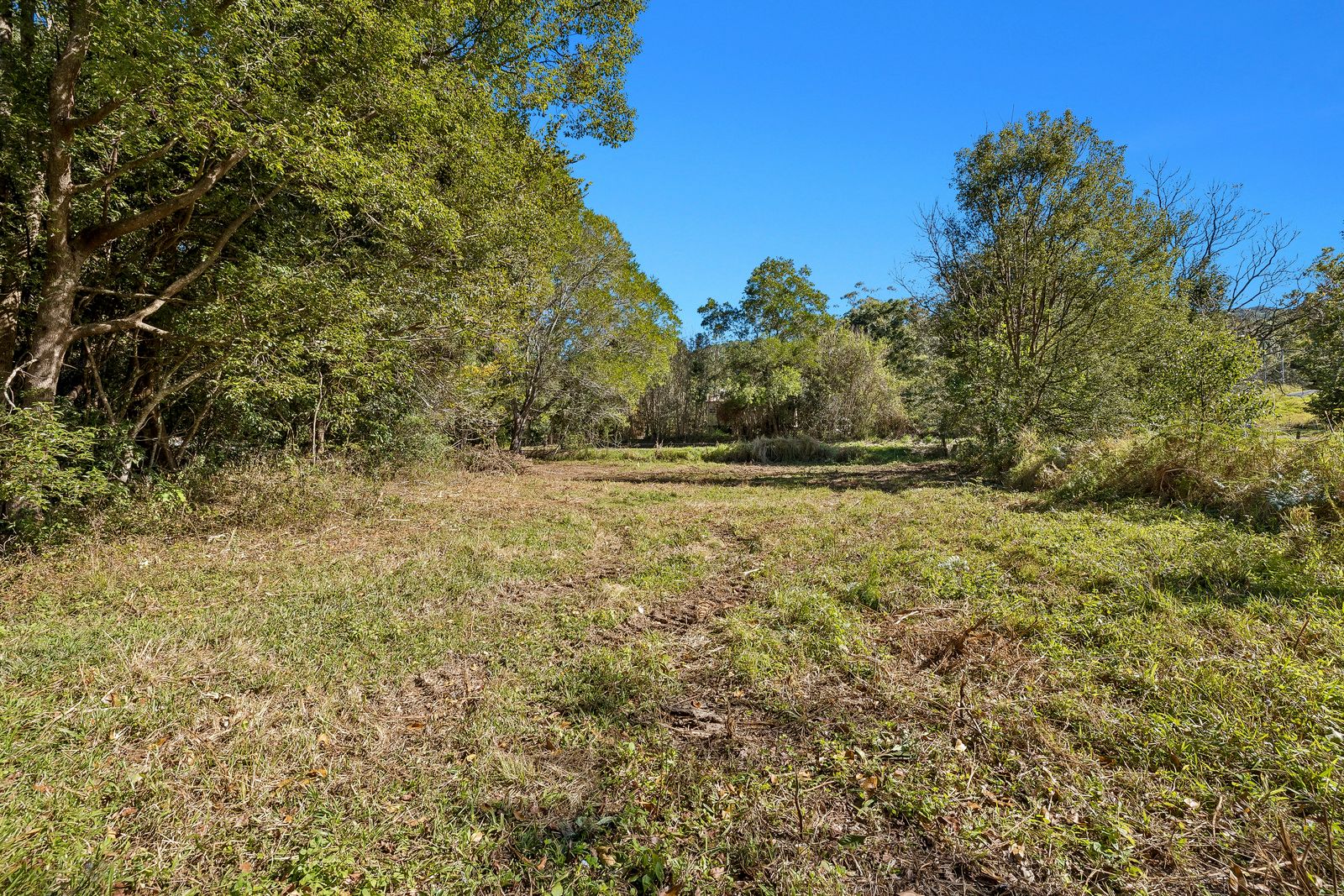 315 Upper Crystal Creek Road — photo 3 of 13