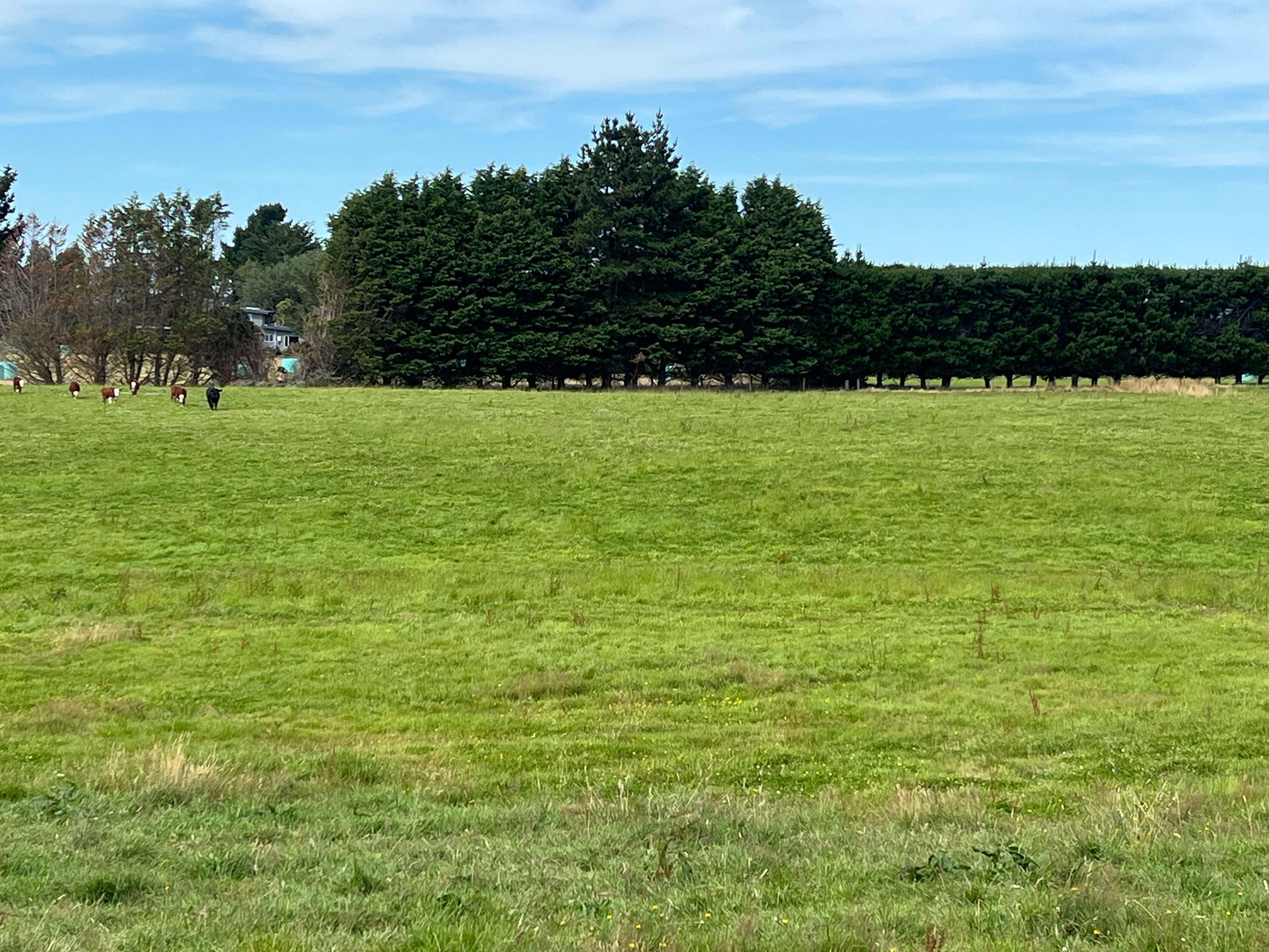 55 McKellar Road, Seaward Bush, Invercargill