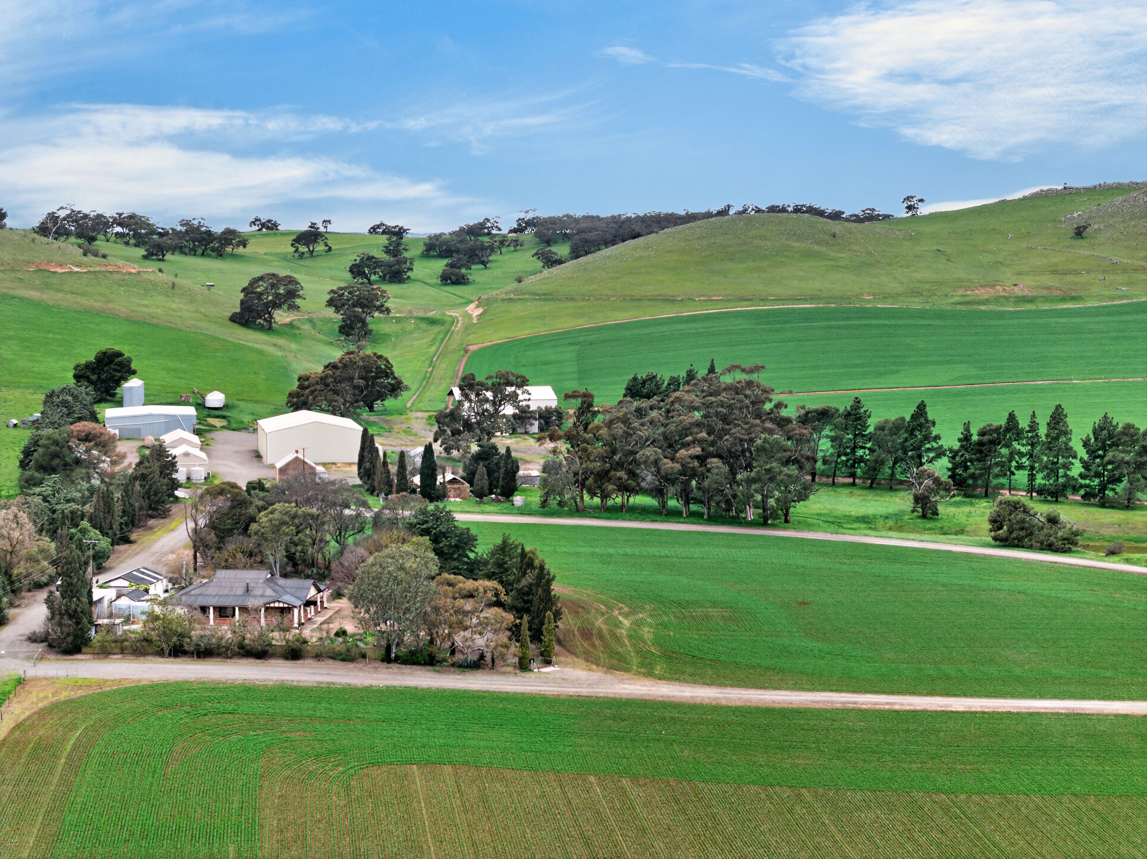 'Vater Family Aggregation' — photo from Ray White Rural South Australia