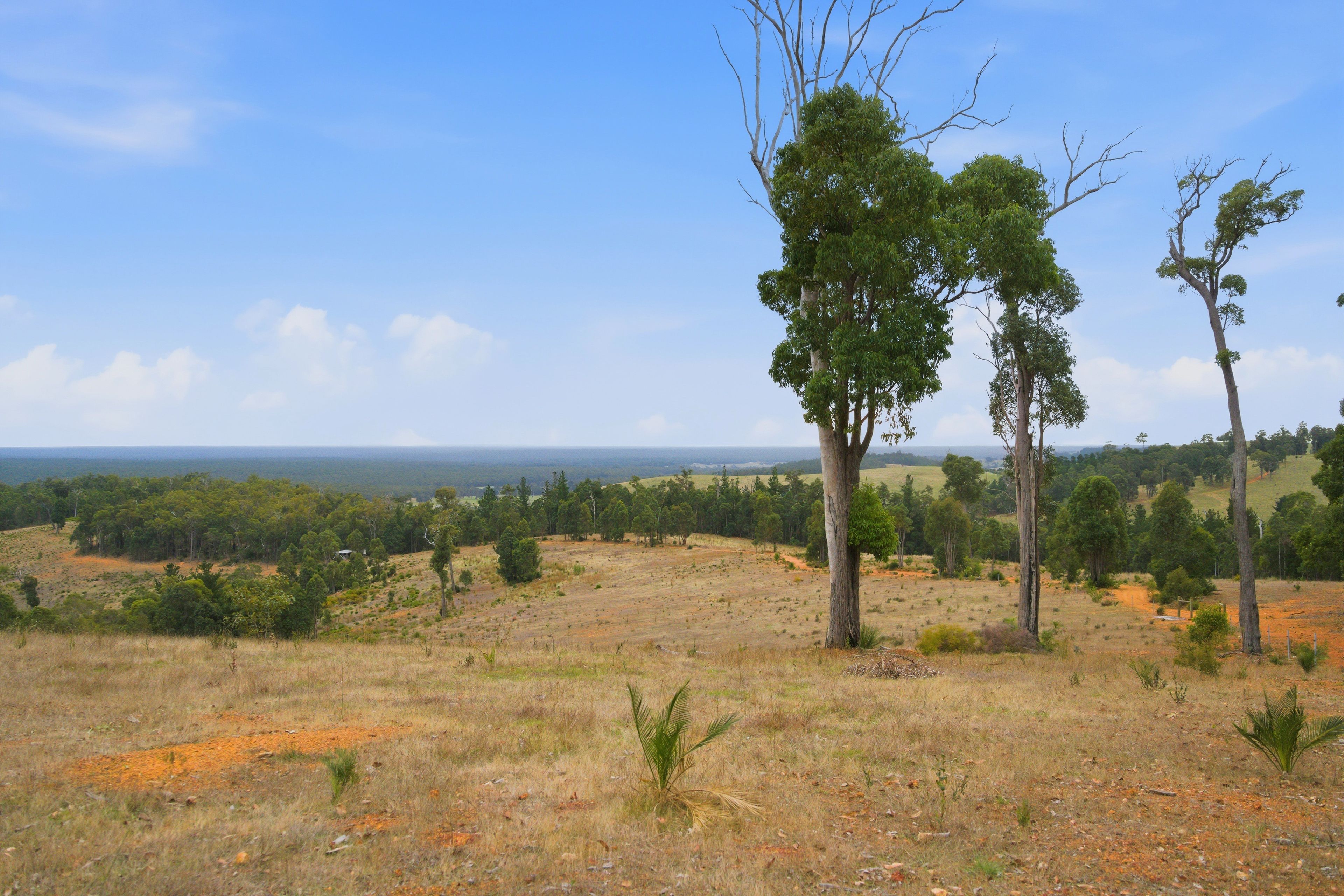 267 Gold Gully Road — photo 30 of 30
