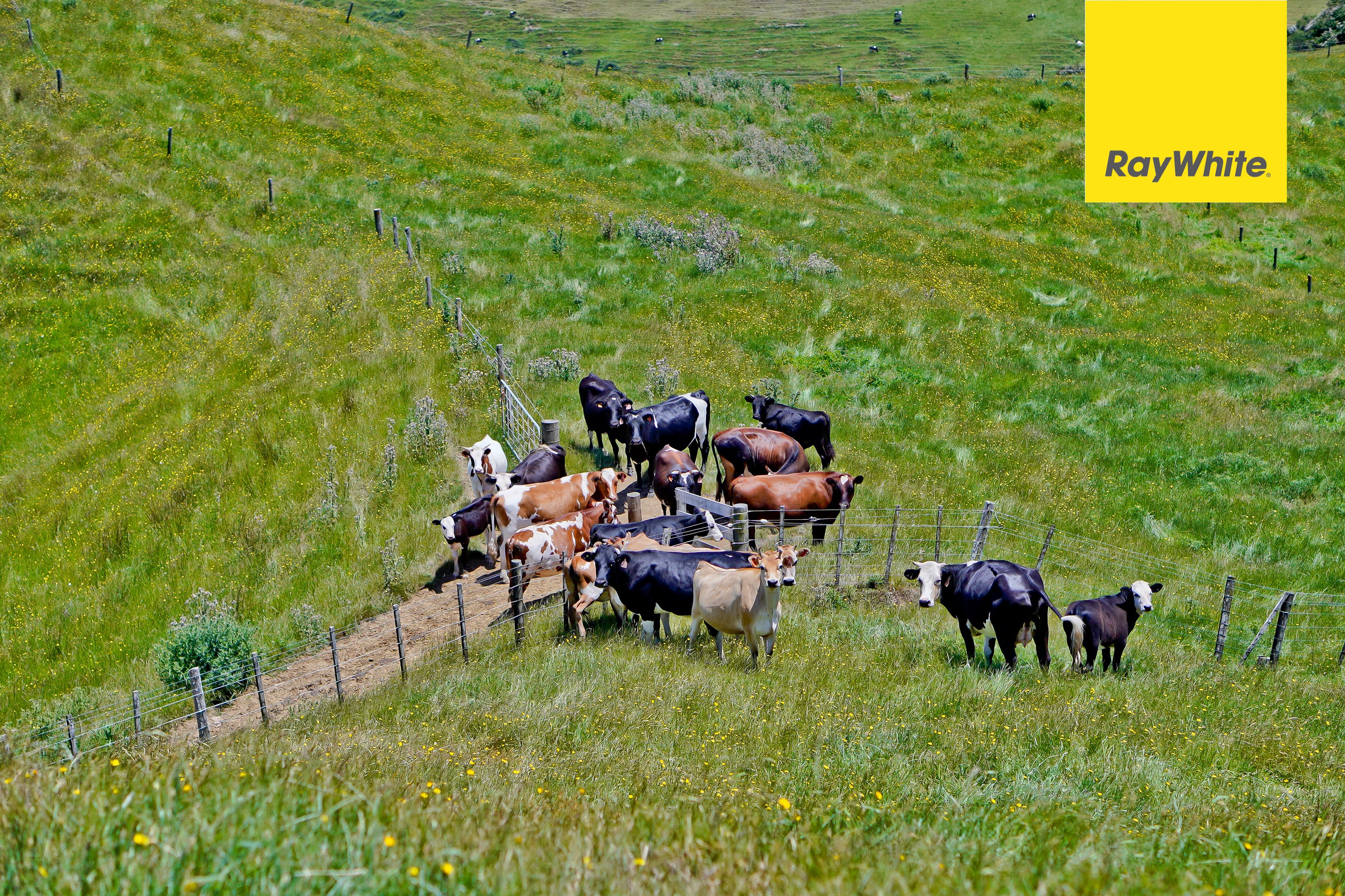 715 Te Akau South Road, Te Akau, Waikato District