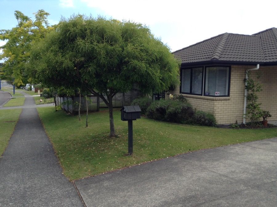 Bethlehem, Tauranga City