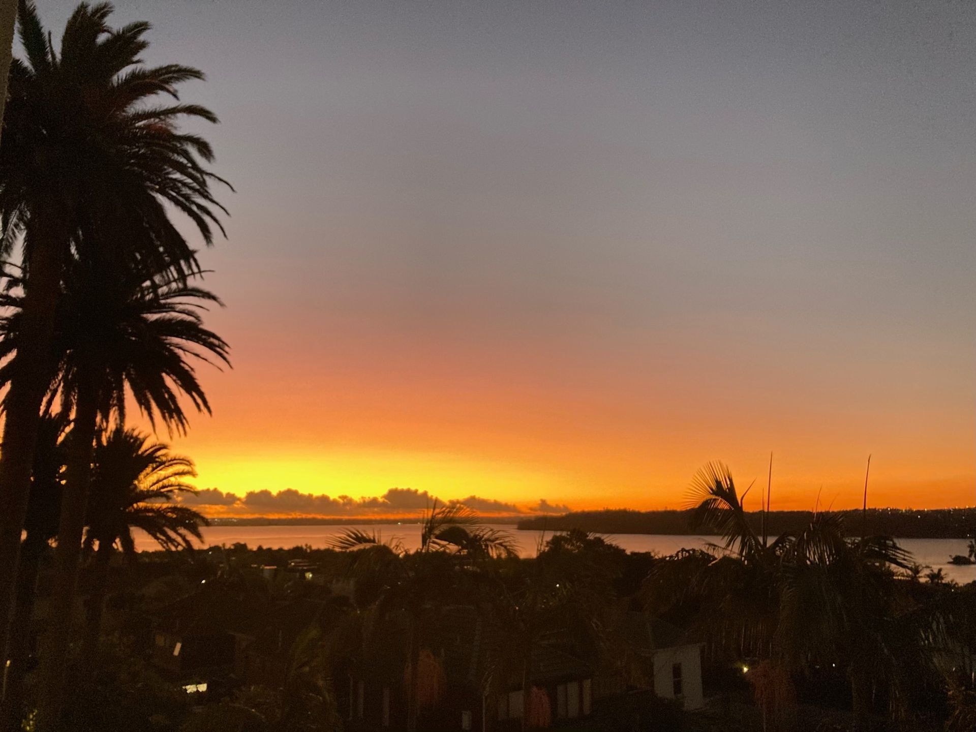 13/3 Hamilton Road, Herne Bay, Auckland City