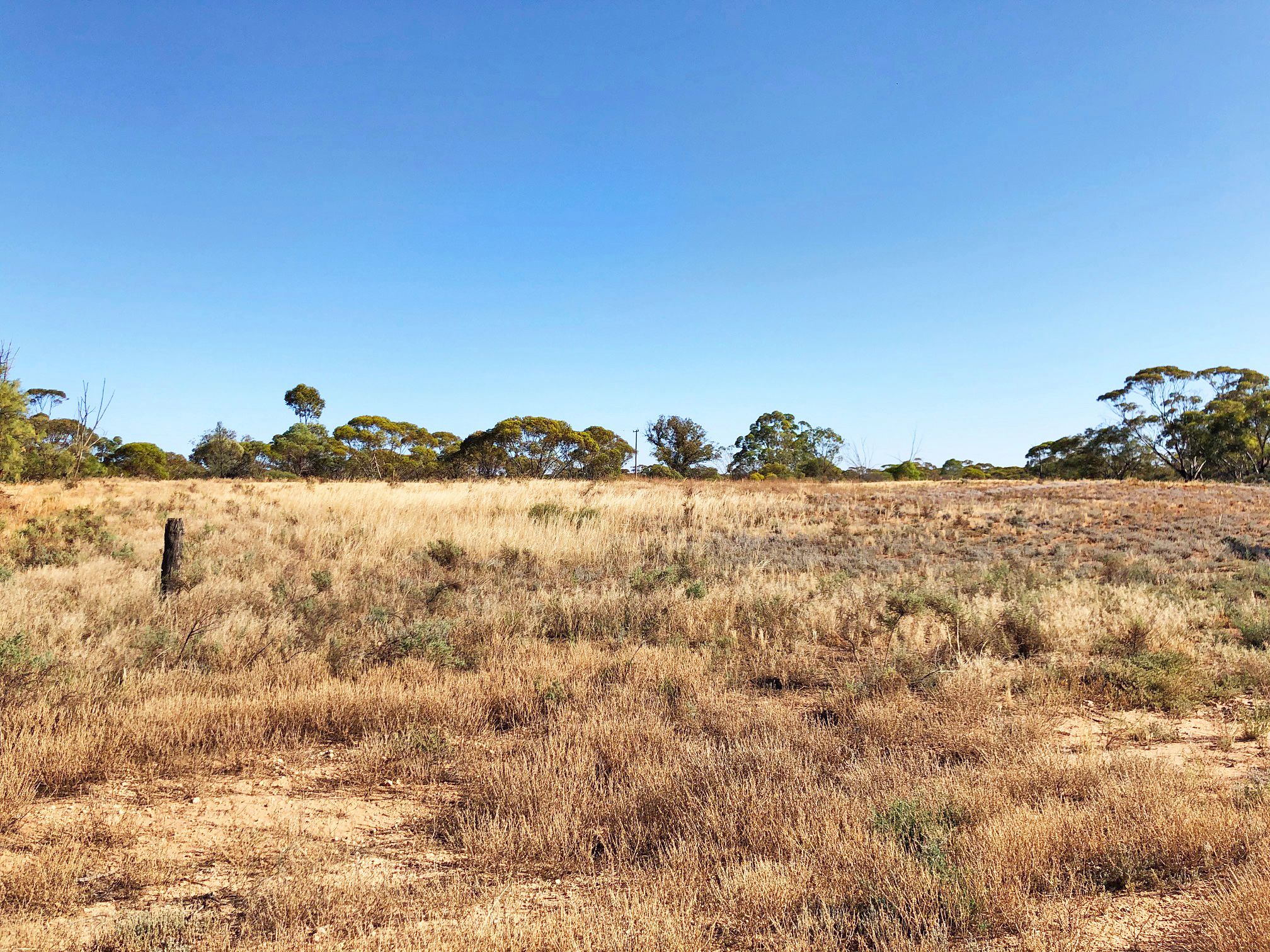 14 King Street, Werrimull, VIC 3496