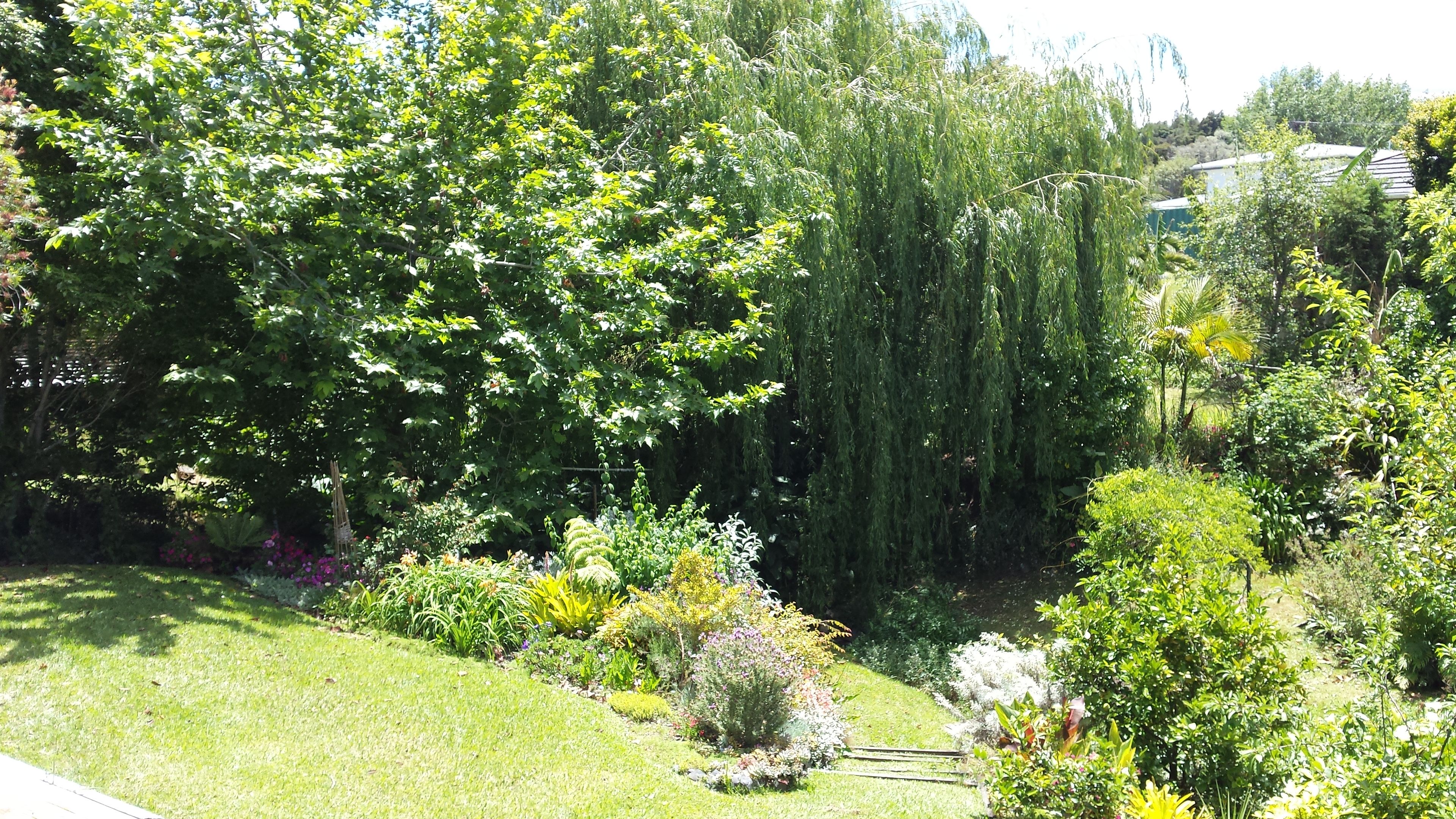 22a Hill Street, Warkworth, Rodney