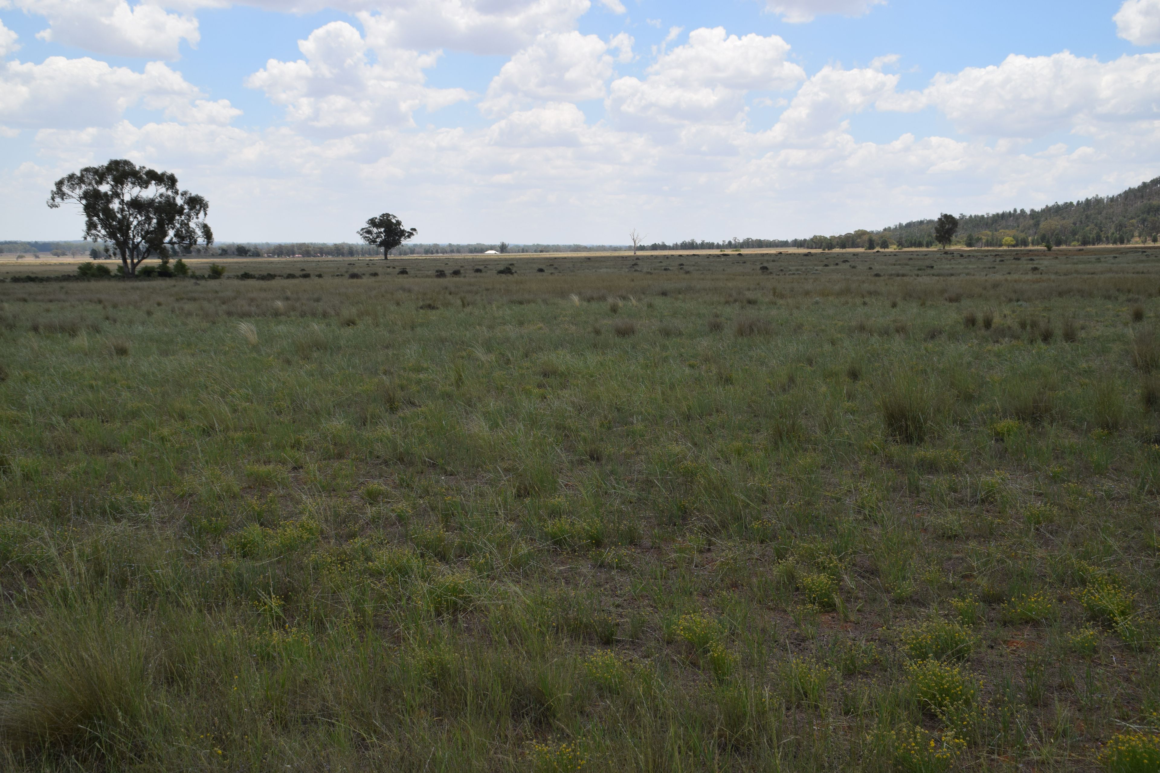 'Illapa' 238L Narromine Road — photo 27 of 30