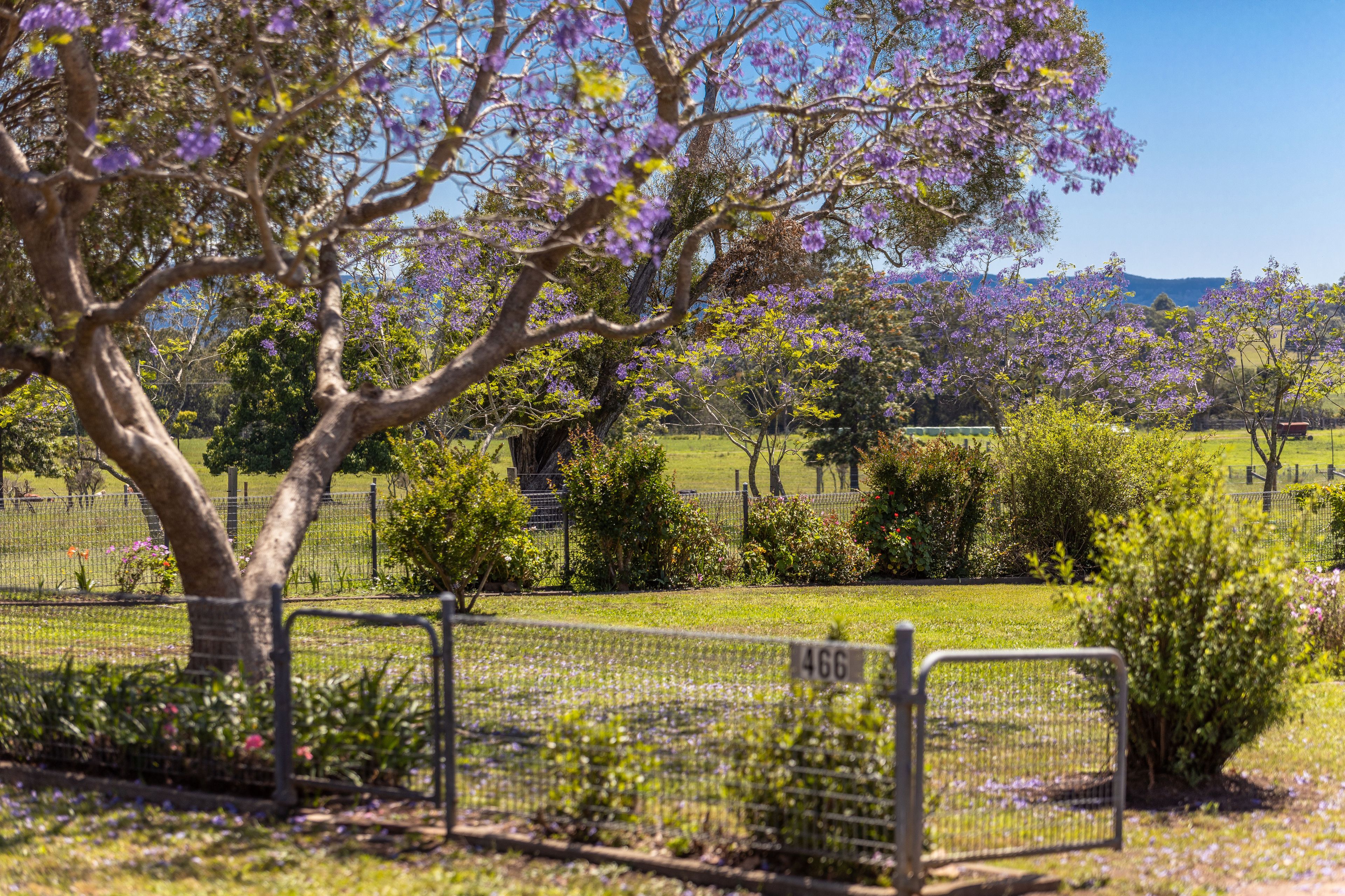 466 Comboyne Road, Wingham, NSW 2429