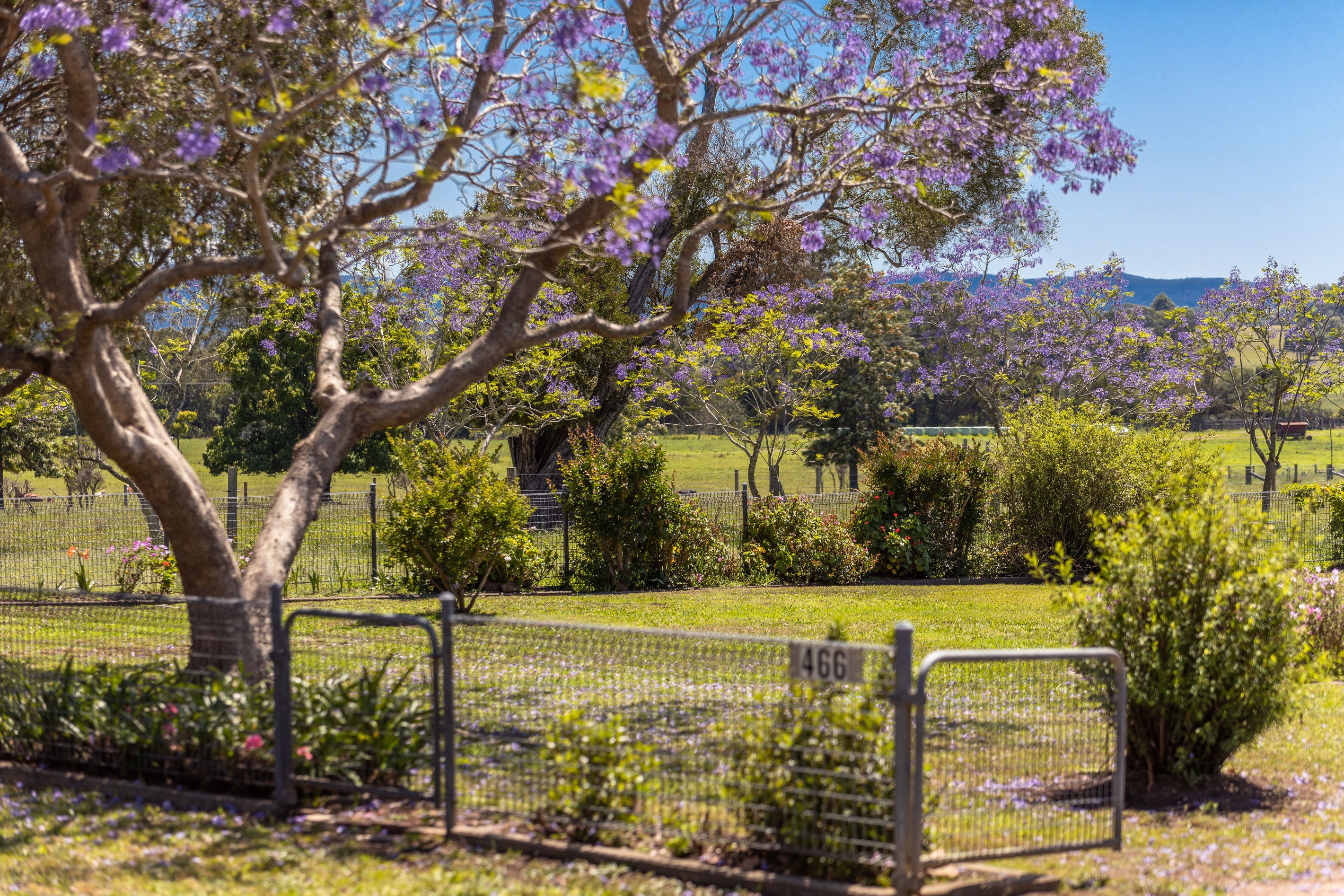 466 Comboyne Road, Wingham, NSW 2429