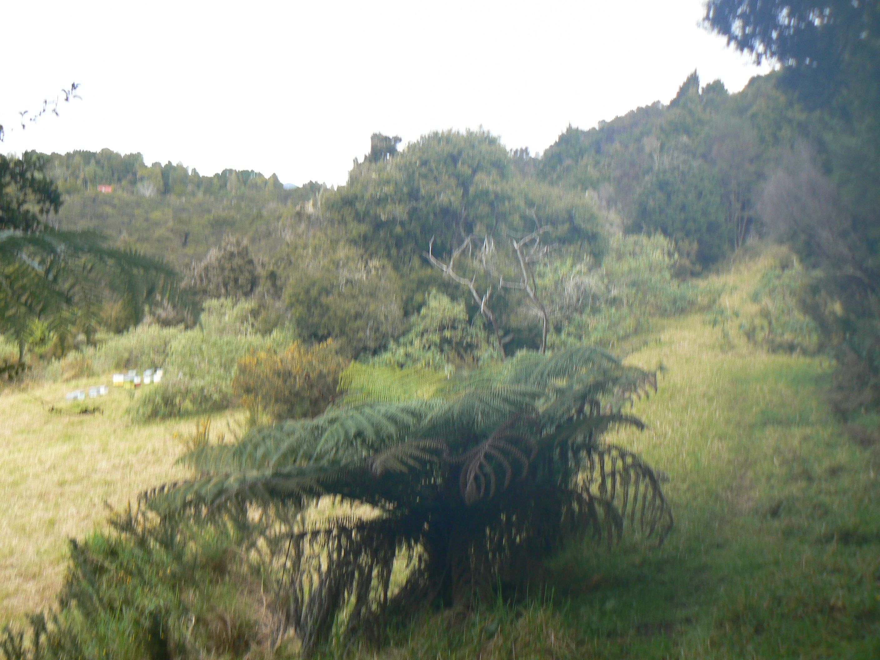 Lot 1 Duddy Road, Rawene, Far North District