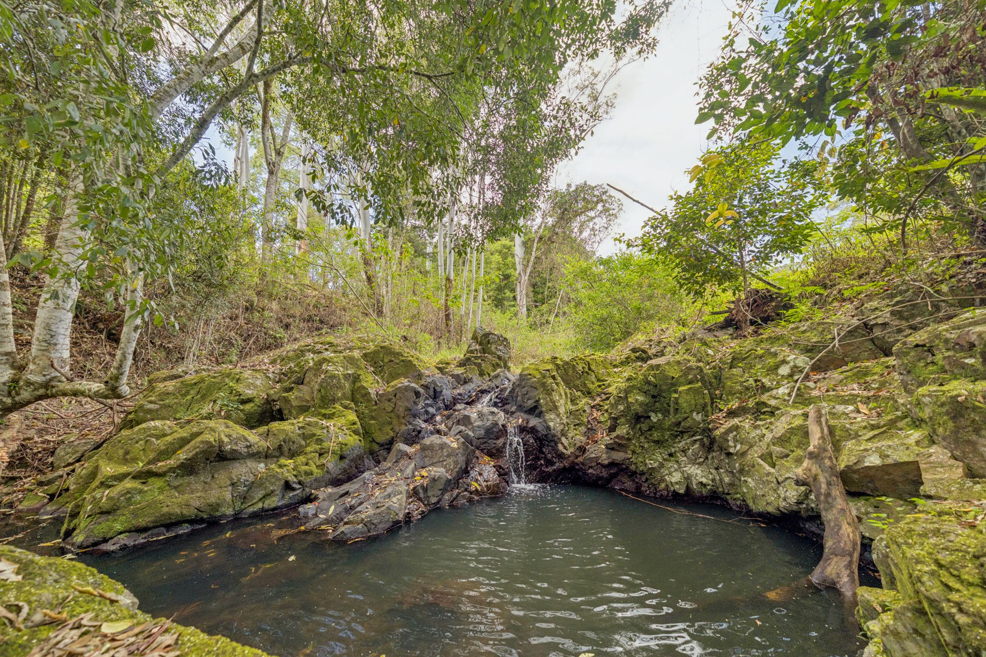 109 Oehmichen Road — photo from Ray White Maleny