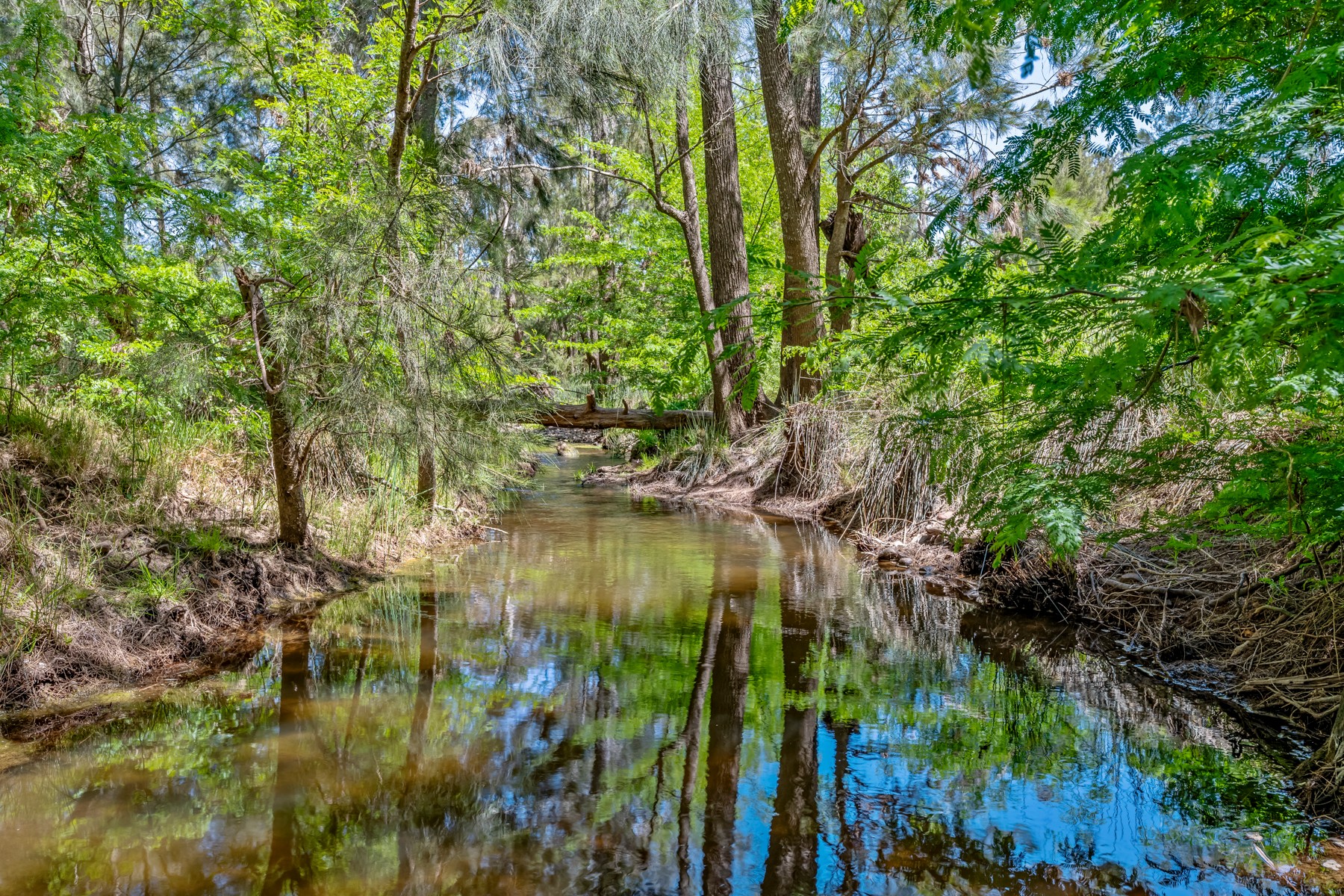 101 Mitchells Flat Road, Mitchells Flat,, Singleton, NSW 2330