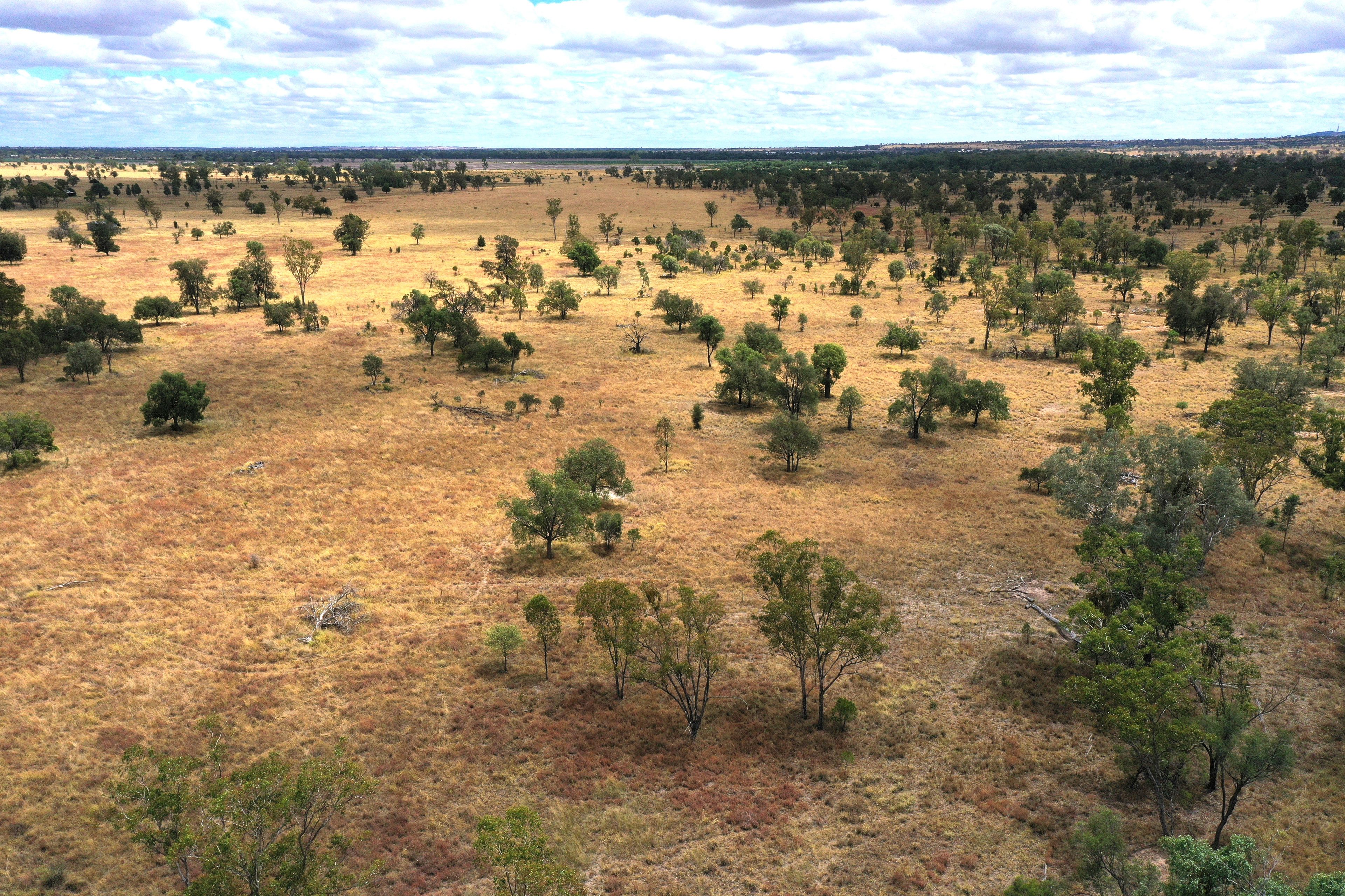 445 Six Mile Road, Roma, QLD 4455