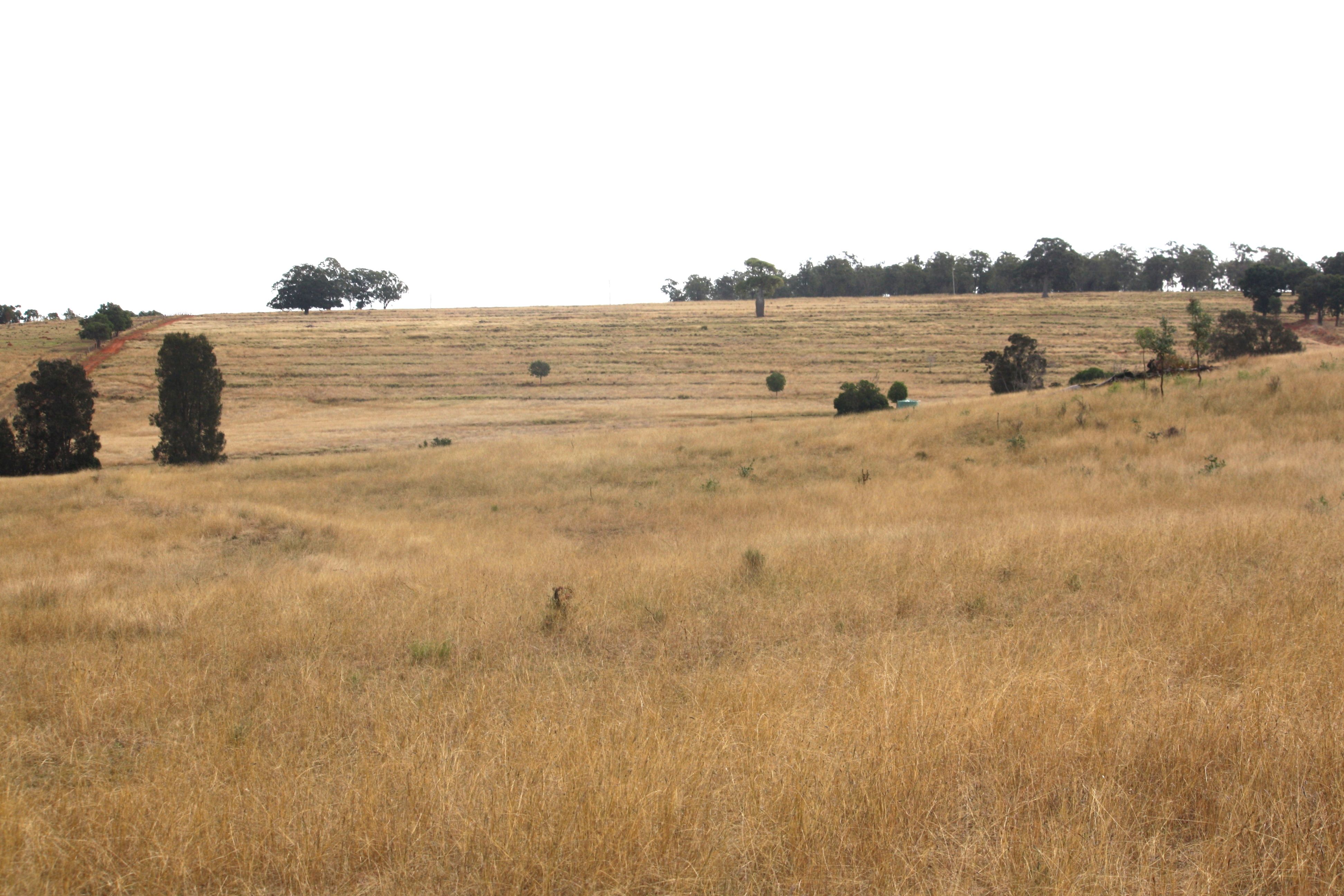 2007 Proston Boondoomba Road, Proston, QLD 4613