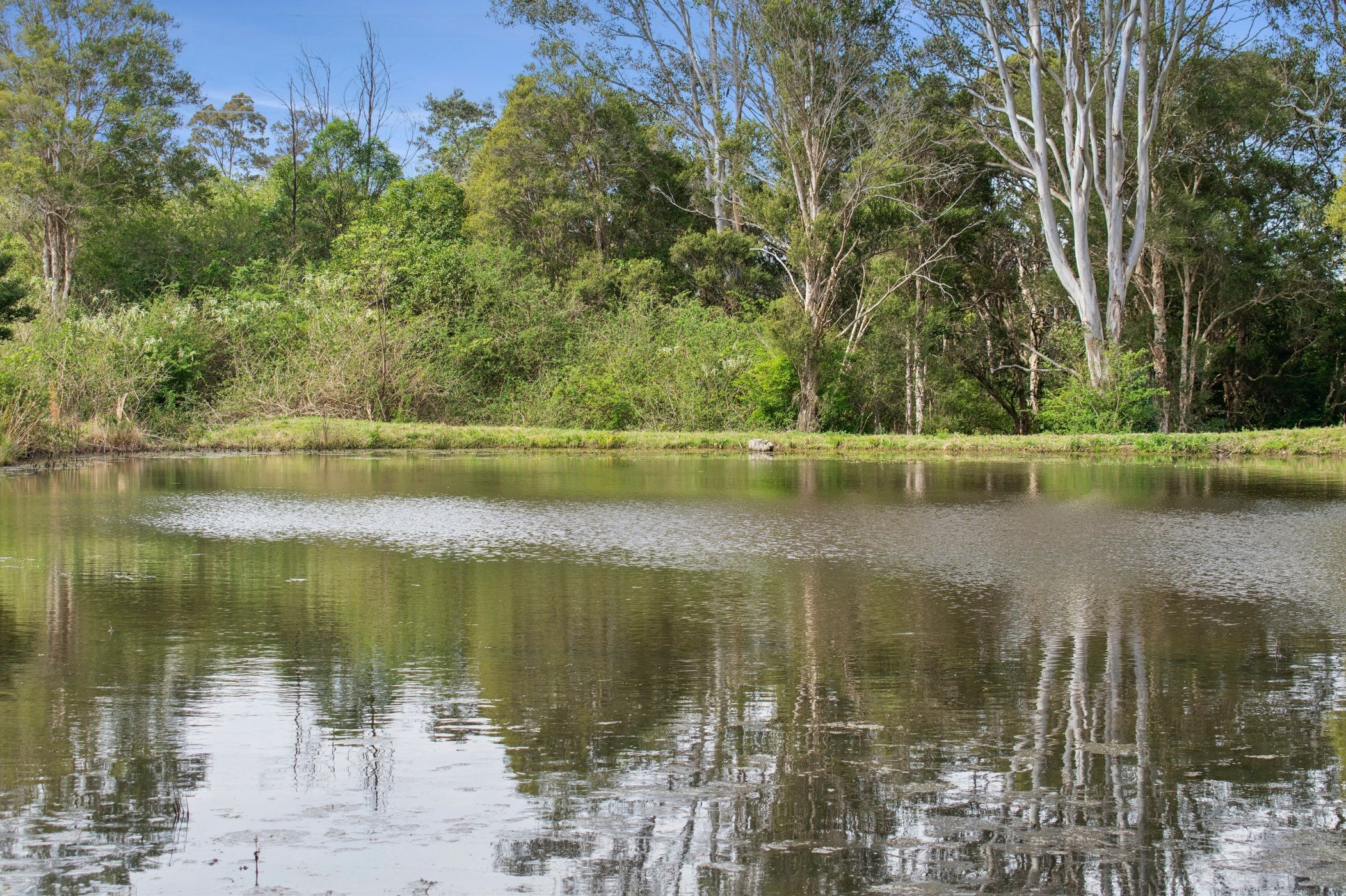 50 Single Ridge Road, The Slopes, NSW 2754