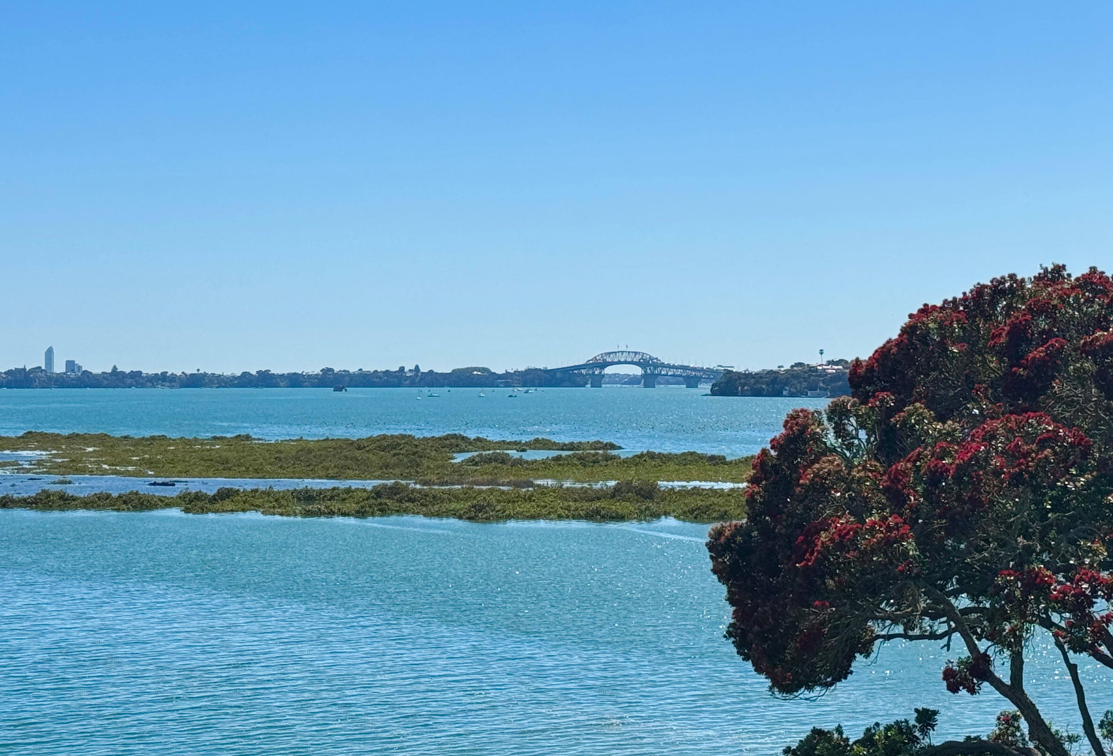 15 Lynch Street, Point Chevalier, Auckland City