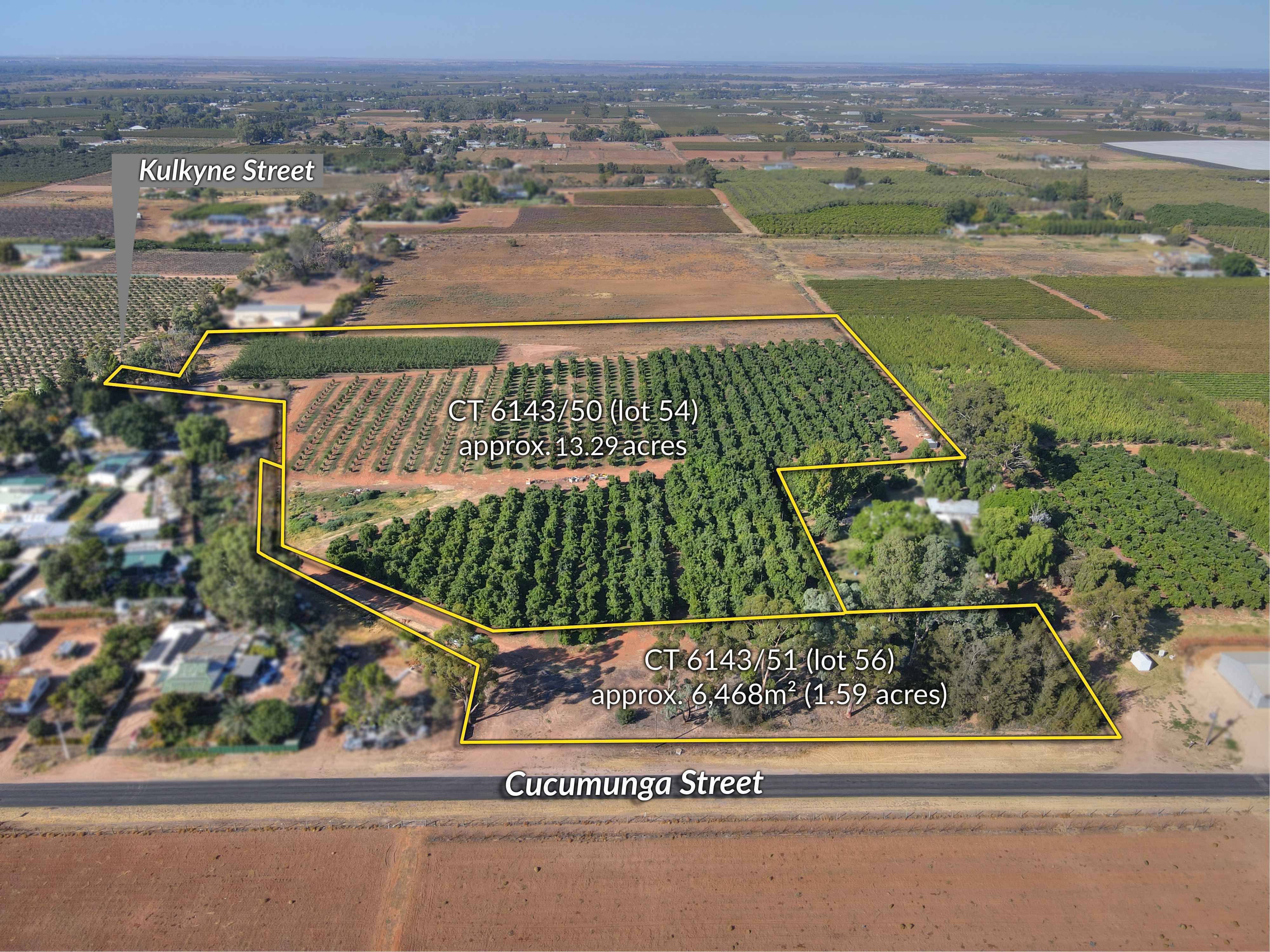 Lot 54 & 56 Cucumunga Street, Renmark, SA 5341