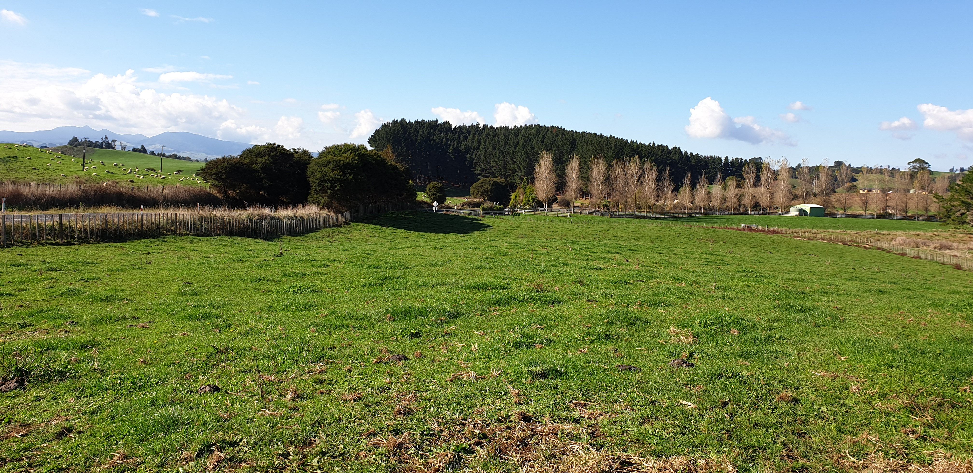 Lot 3 Kawhia Road, Kawhia, Otorohanga District 3889 Sold Rural