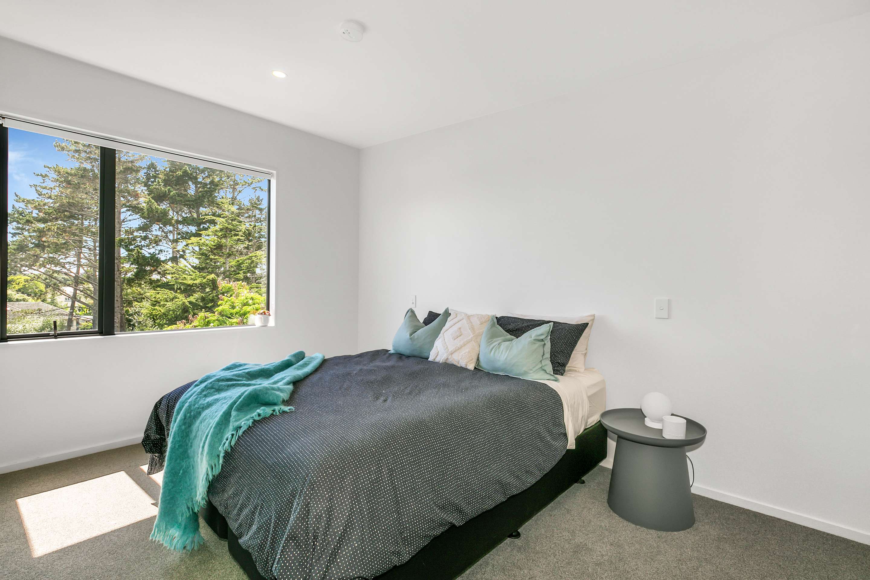 1028D Great North Road, Point Chevalier, Auckland City Real Estate