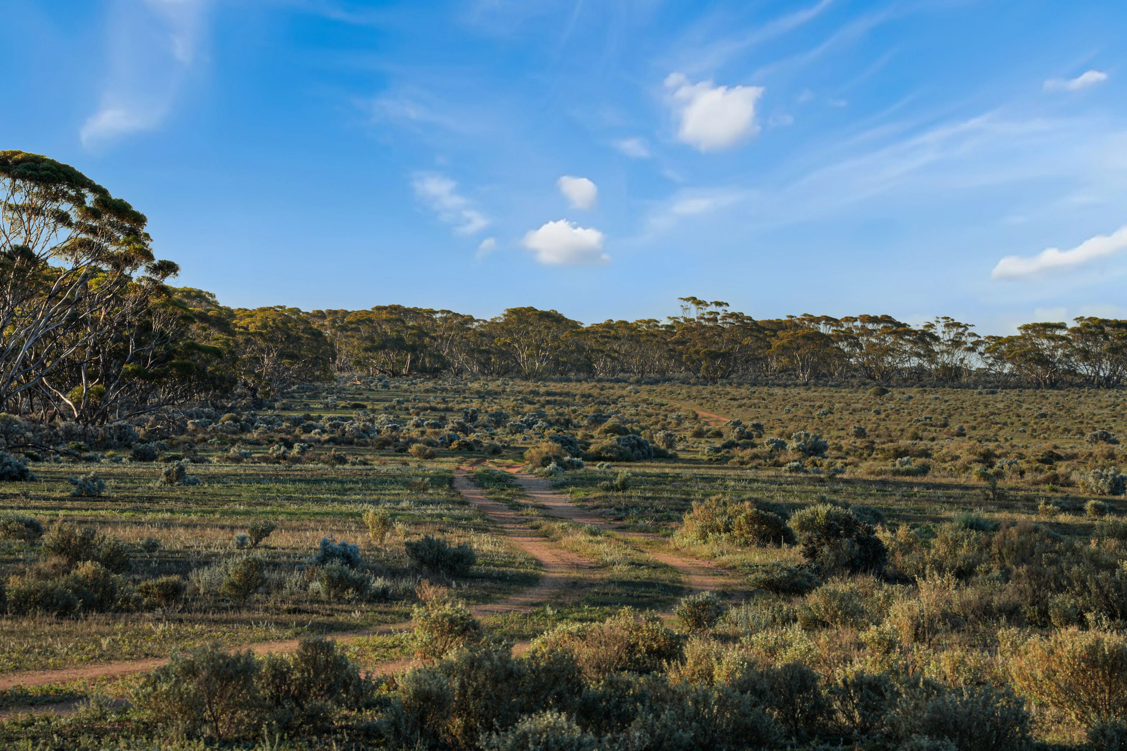 Lot 53 Mallee Road — photo 9 of 23
