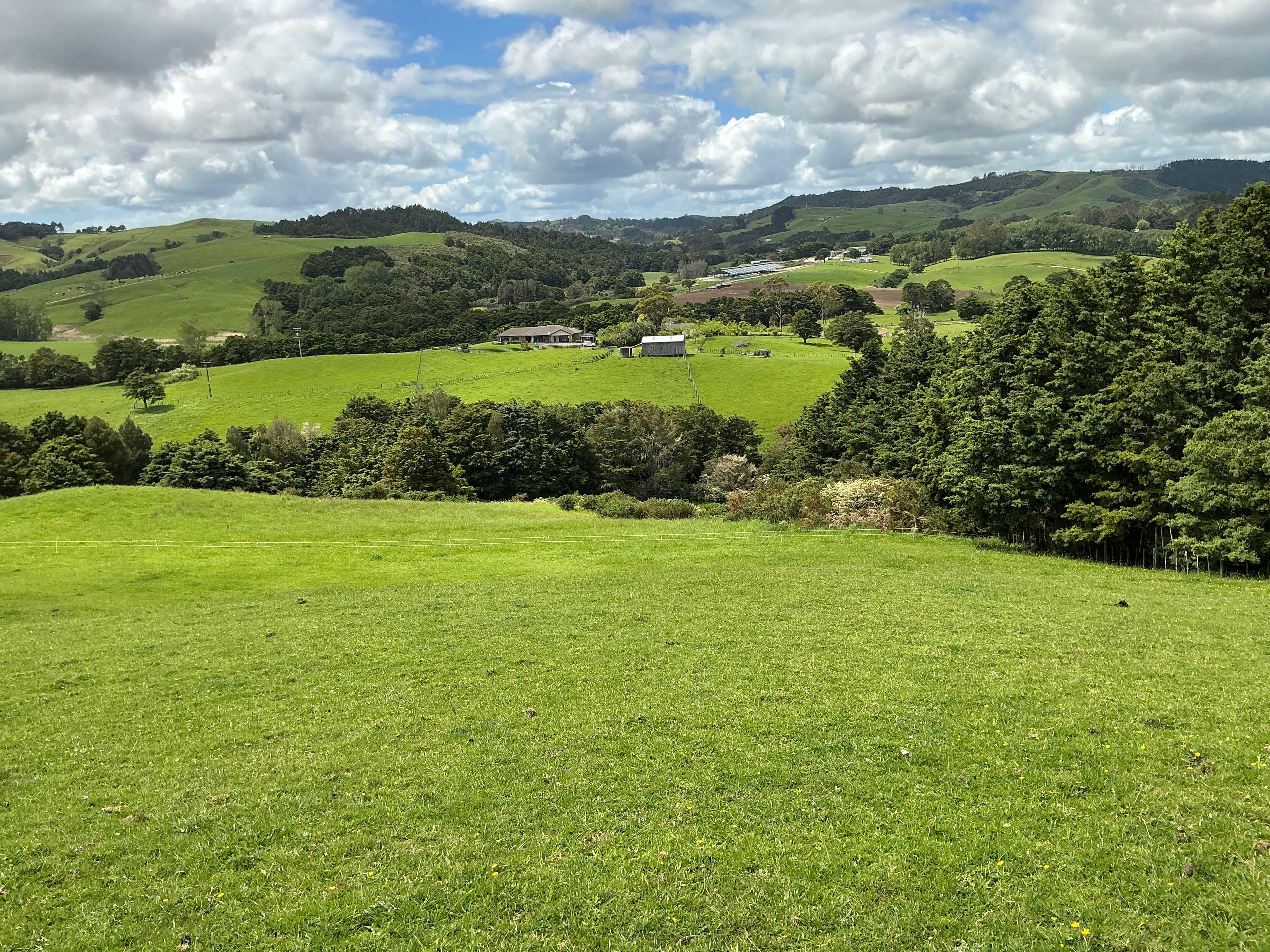 Lot 2/DP385487 Poyner Road, Tahekeroa, Rodney