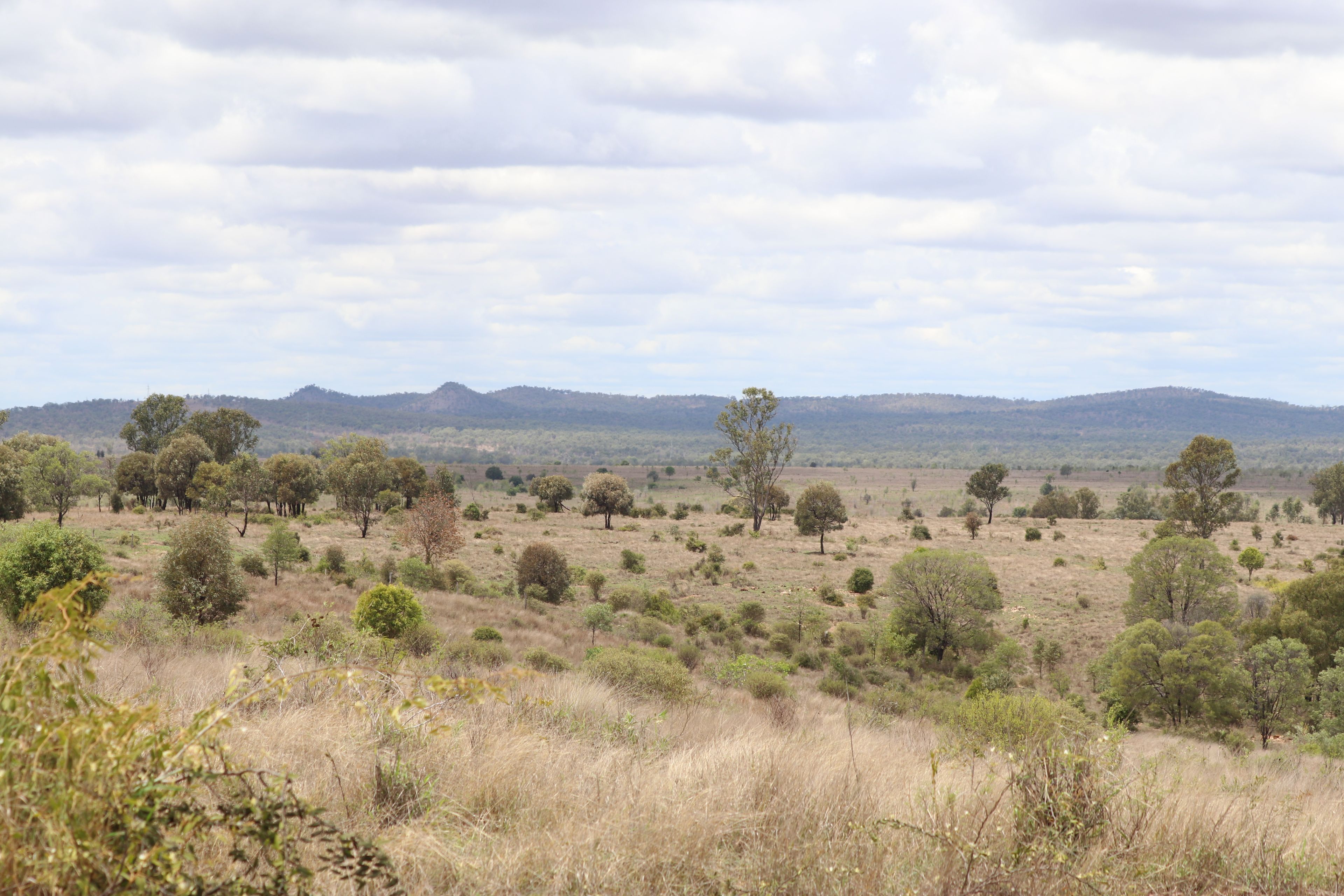 811 Lowries Road, Kokotungo, QLD 4702