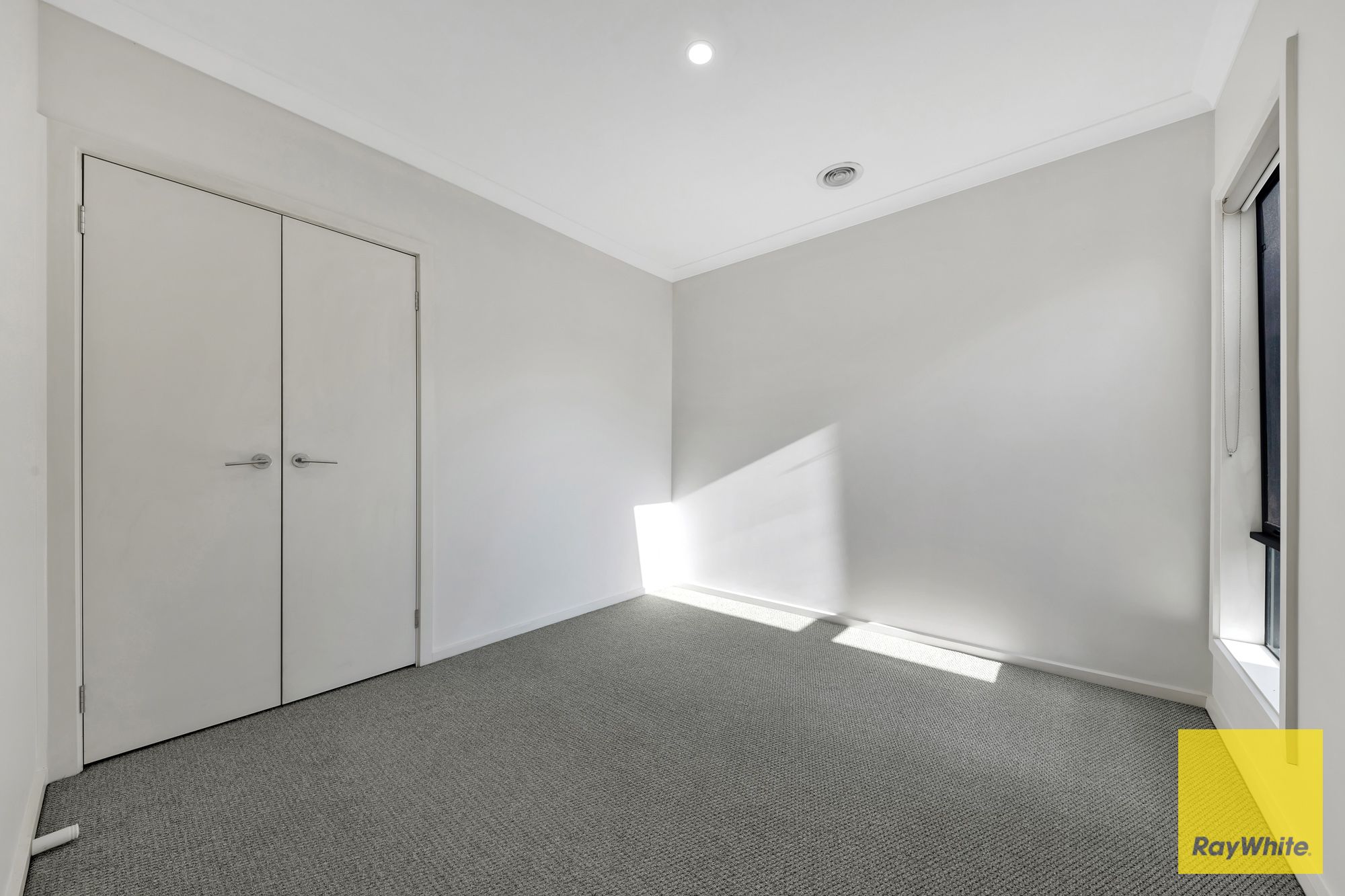 16 Bledisloe Street — photo 4 of 11