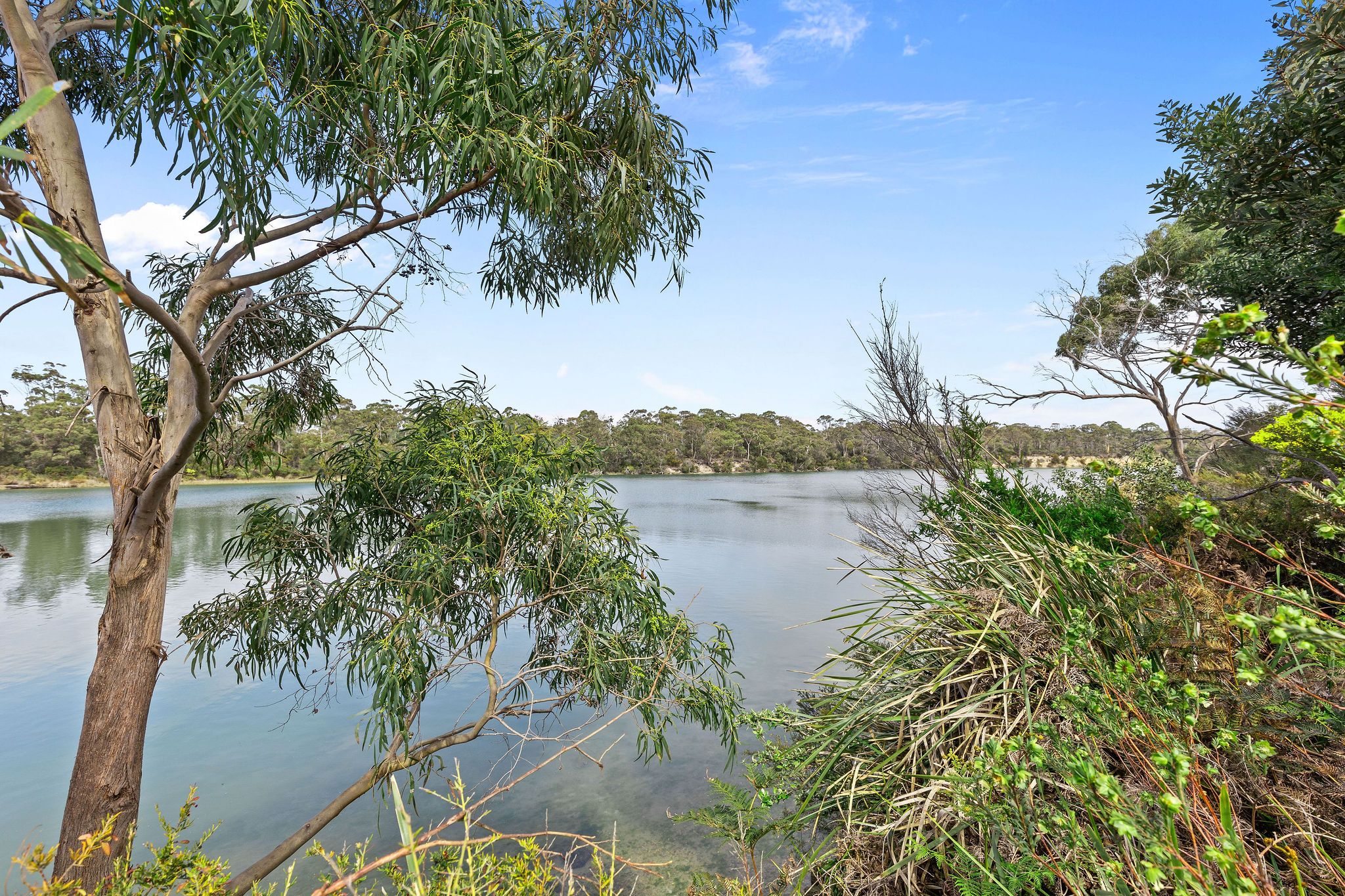 5-6 River Road — photo from Ray White Living Here - Devonport
