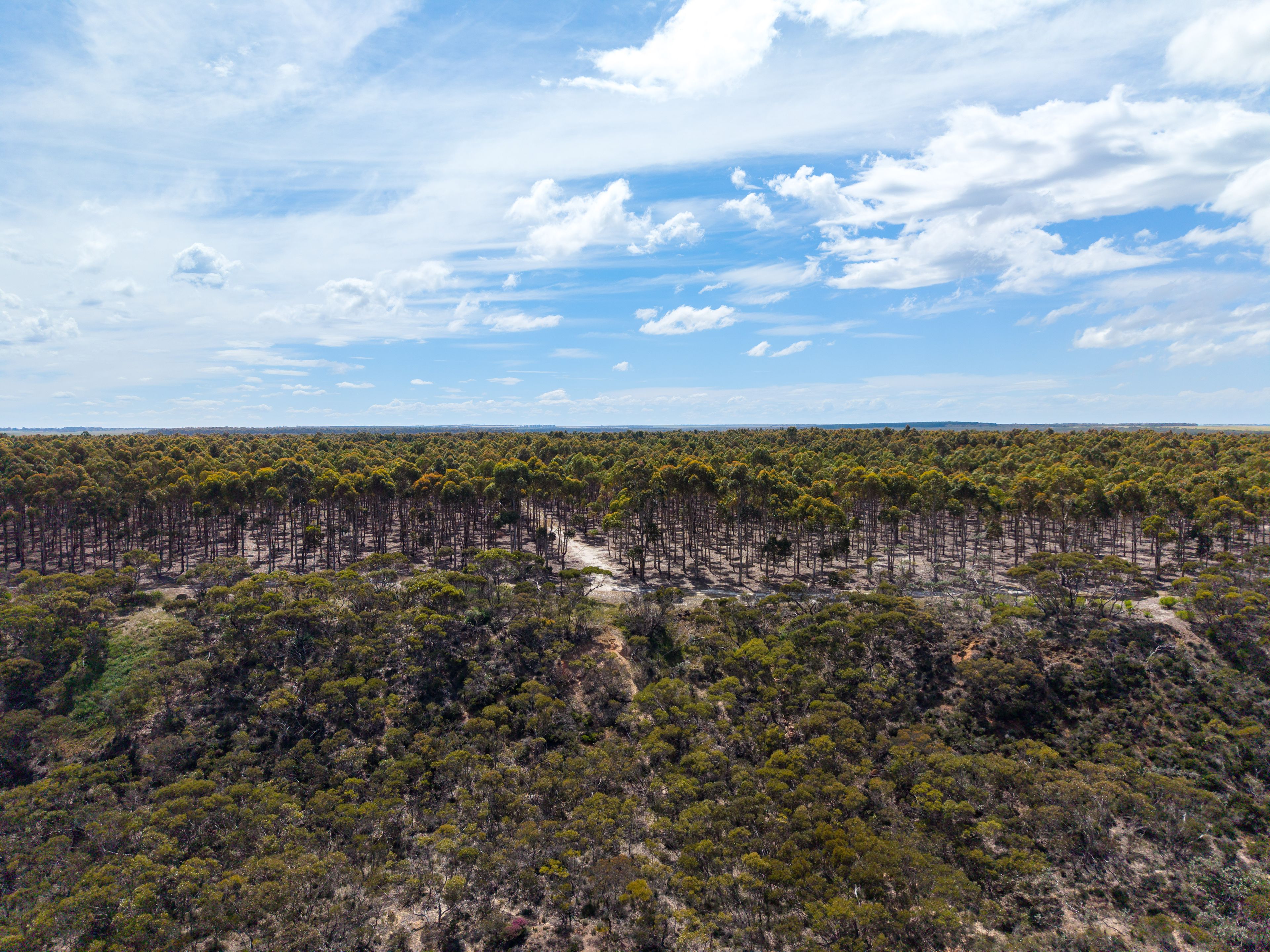 Lot 1895 Pallinup River Estate — photo 27 of 30