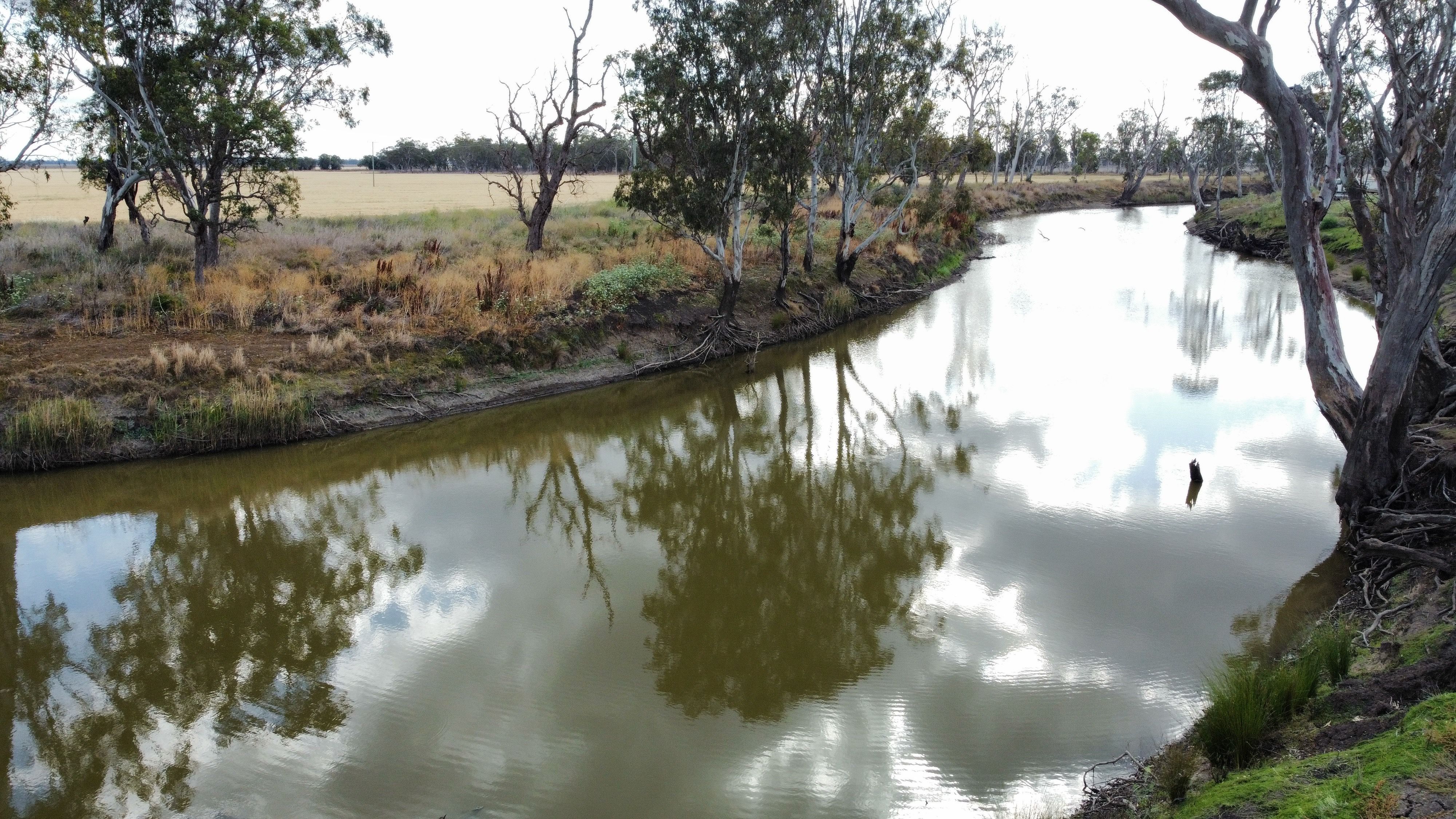 1663 Millmerran Leyburn Road, Tummaville, QLD 4352 Rural Cropping