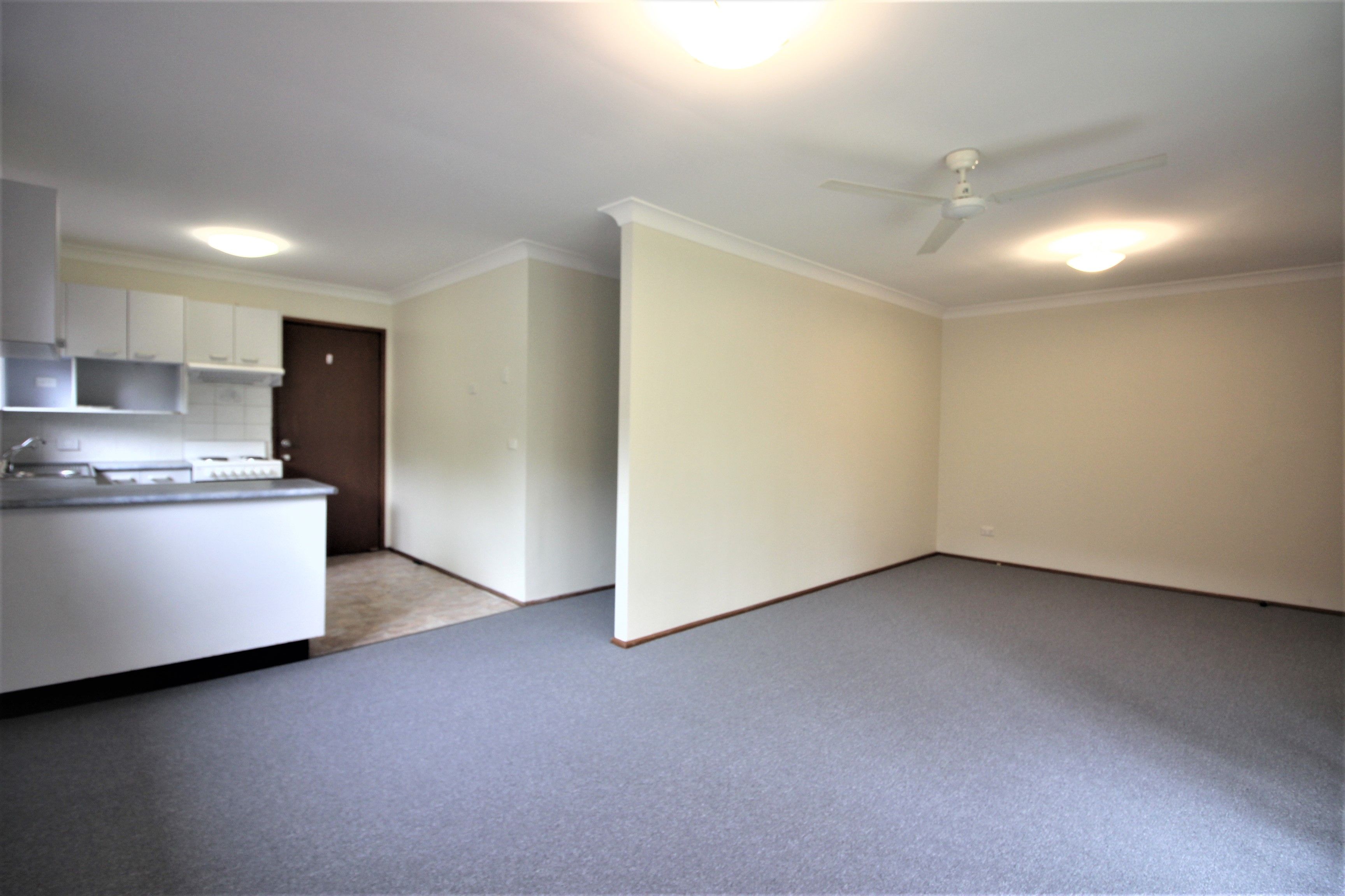 19 Wandewoi Avenue, San Remo, NSW 2262